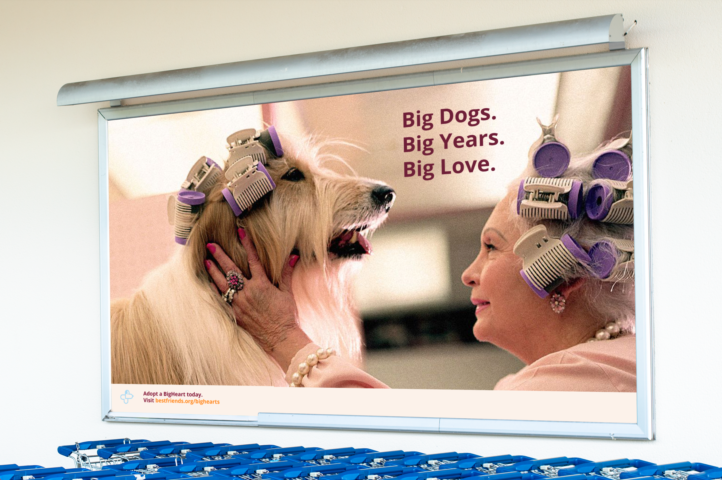 Screenshot 2026-03-31 at 1.43.25 PM.png