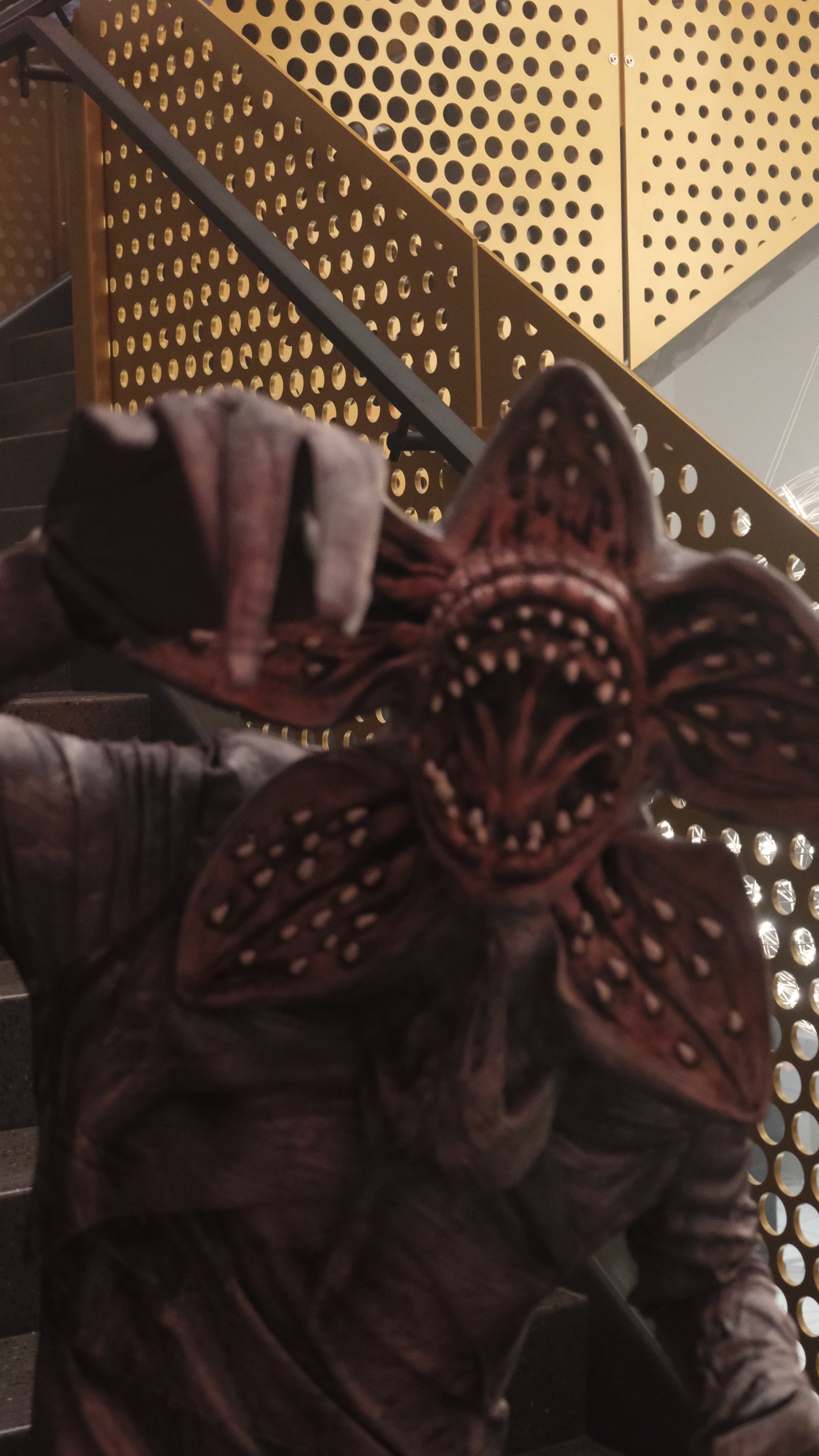 Photo Feb 05 2025, 8 27 09 PM.jpg