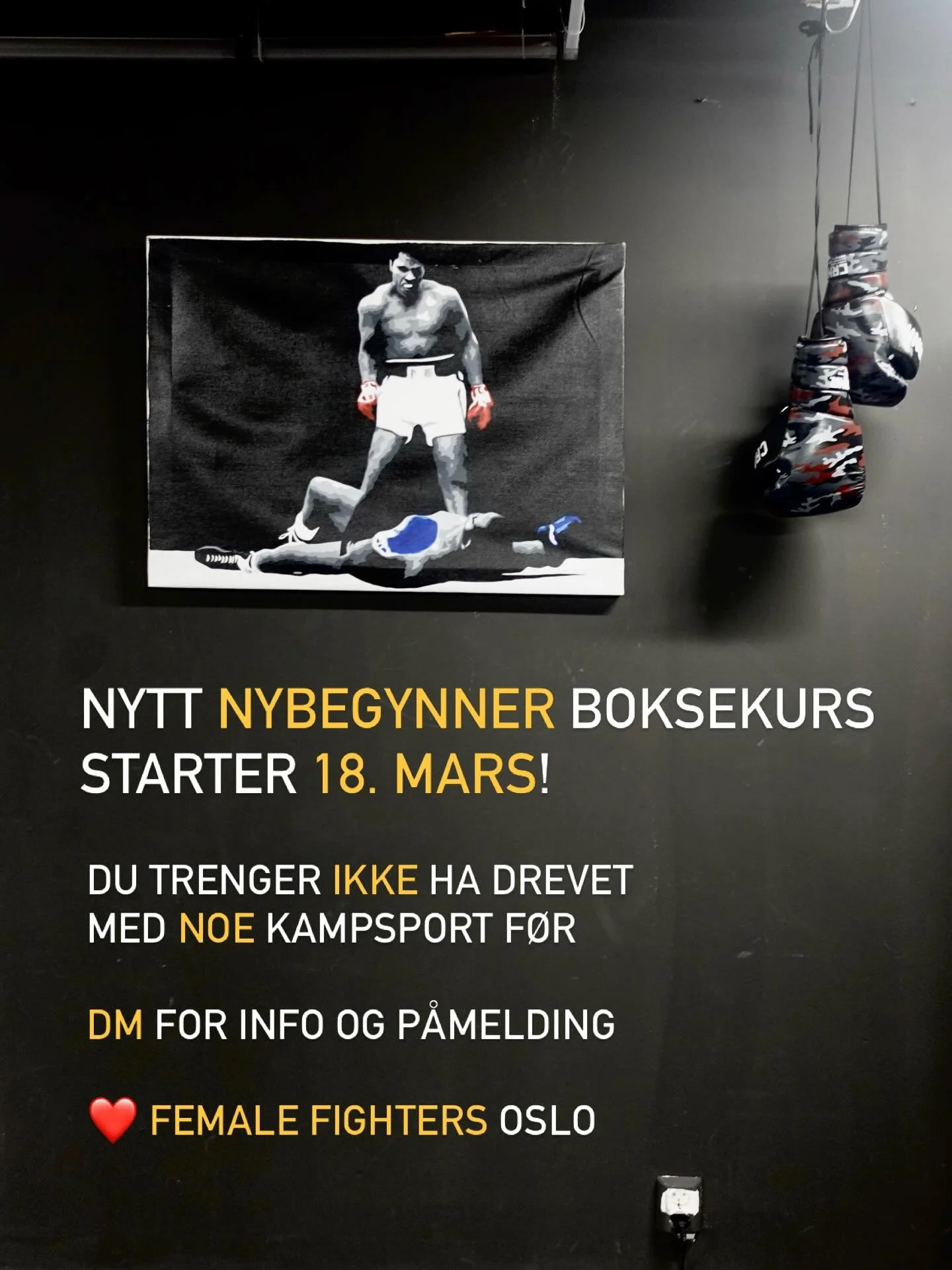 BLI MED P&Aring; LAGET!!! 🥊 

Vi kj&oslash;rer i gang nytt boksekurs for nybegynnere onsdag 18.mars!

Kurset varer 14. fine uker, og du l&aelig;rer alt du trenger for &aring; bli en steint&oslash;ff Female fighter - sammen med en nydelig bukett med 