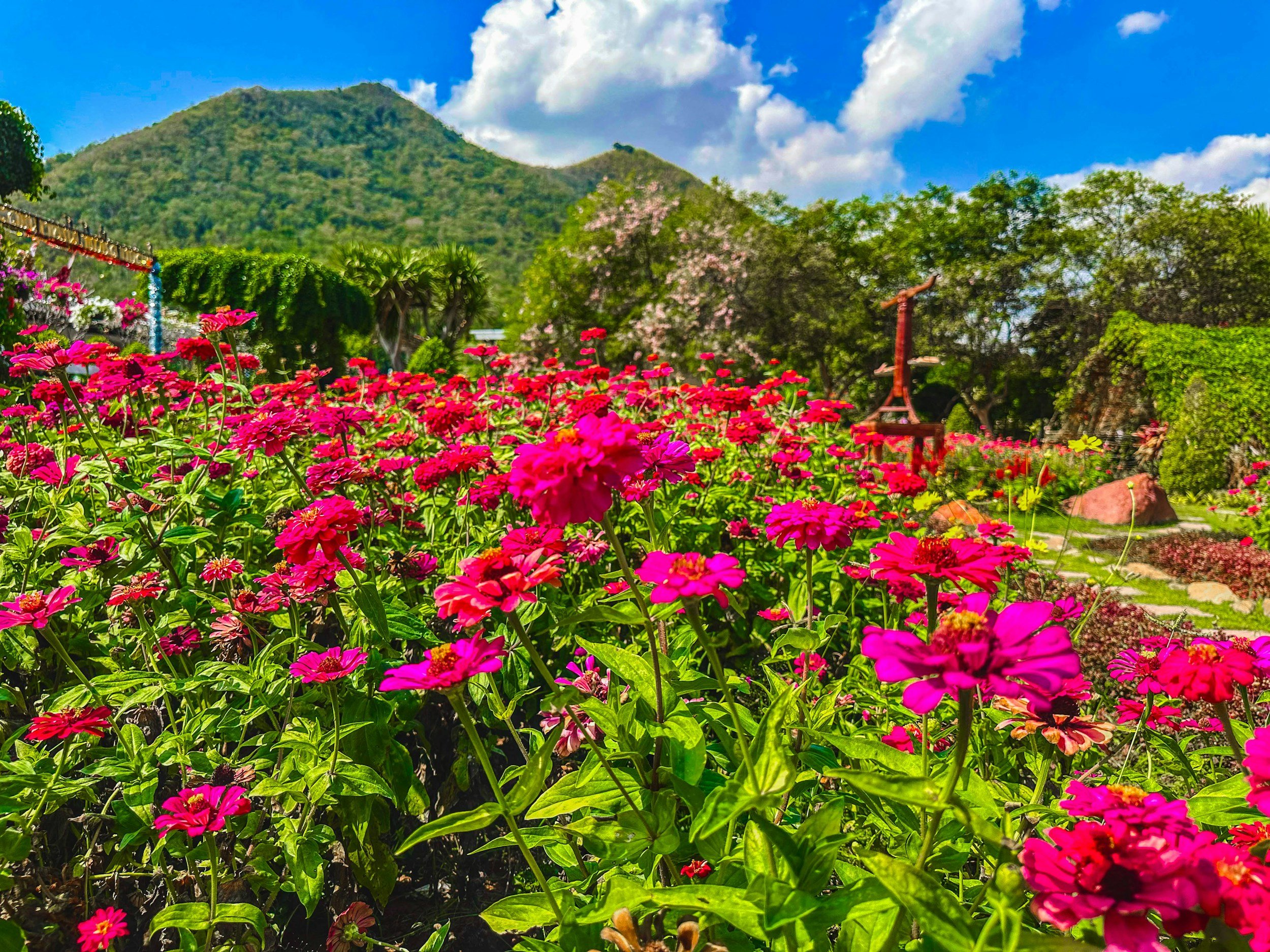 Data FAQ Perth SME business consultant