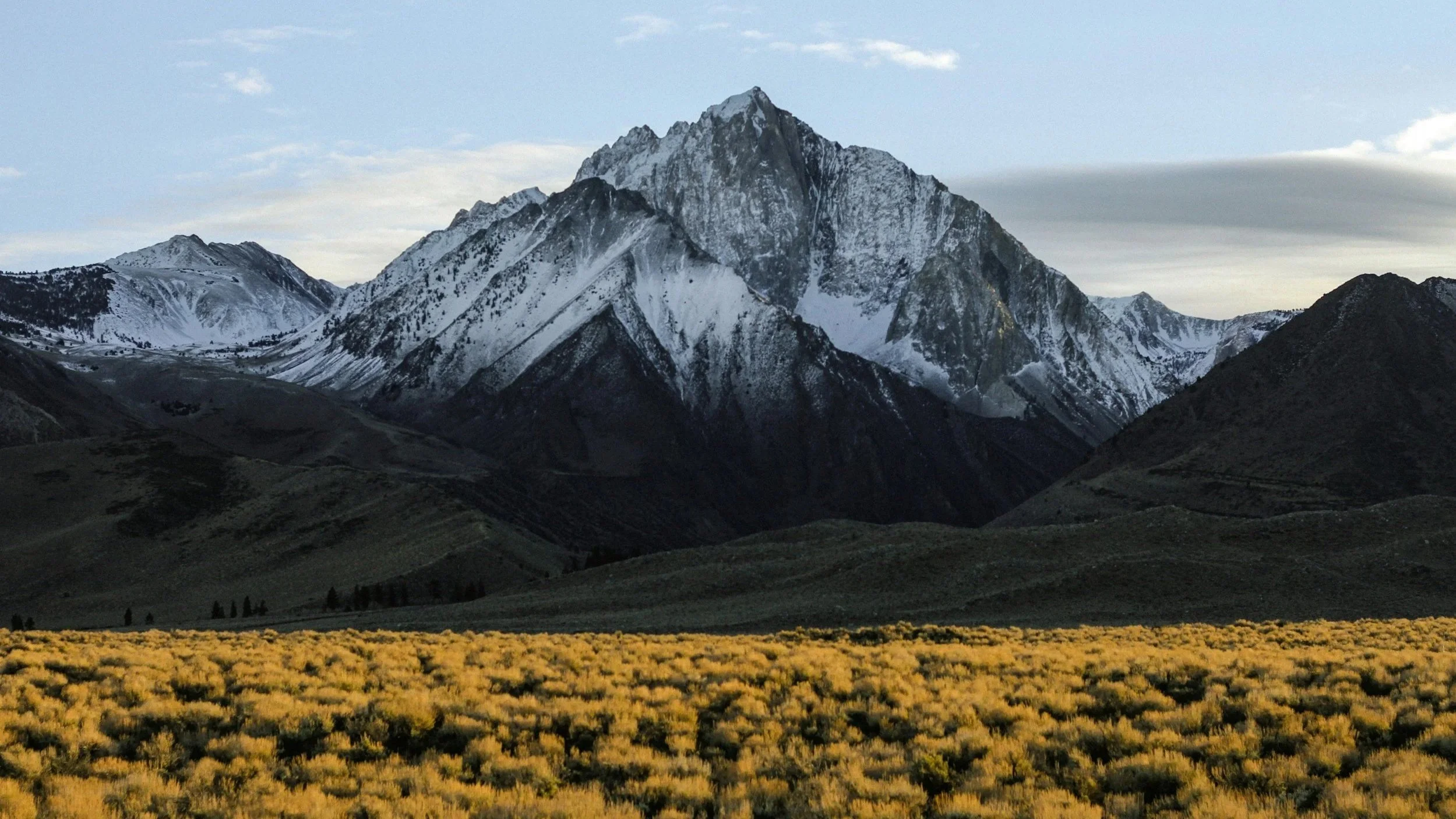 Services FAQ SME business consultant Perth