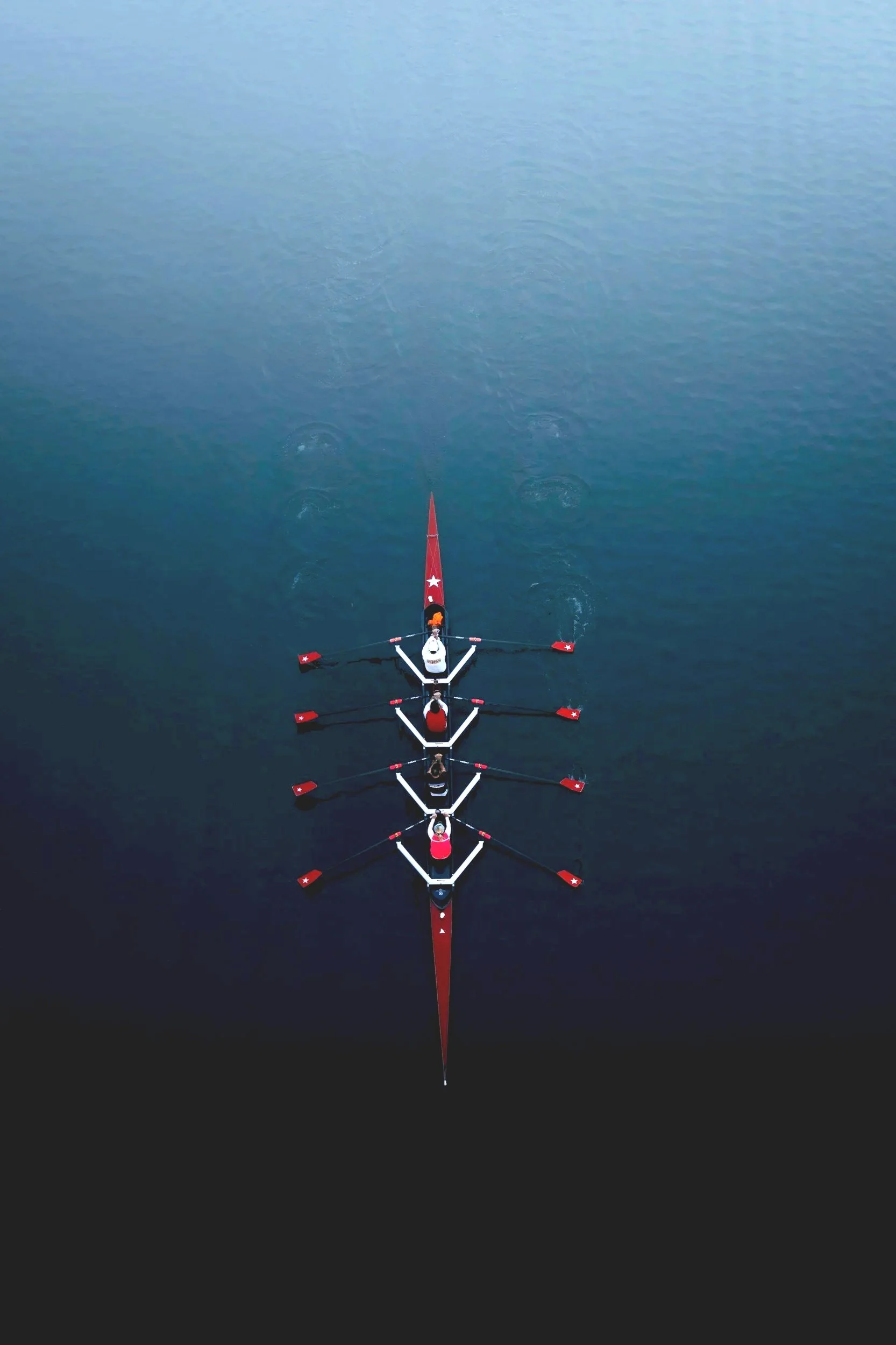 our Perth business consultants work with your team