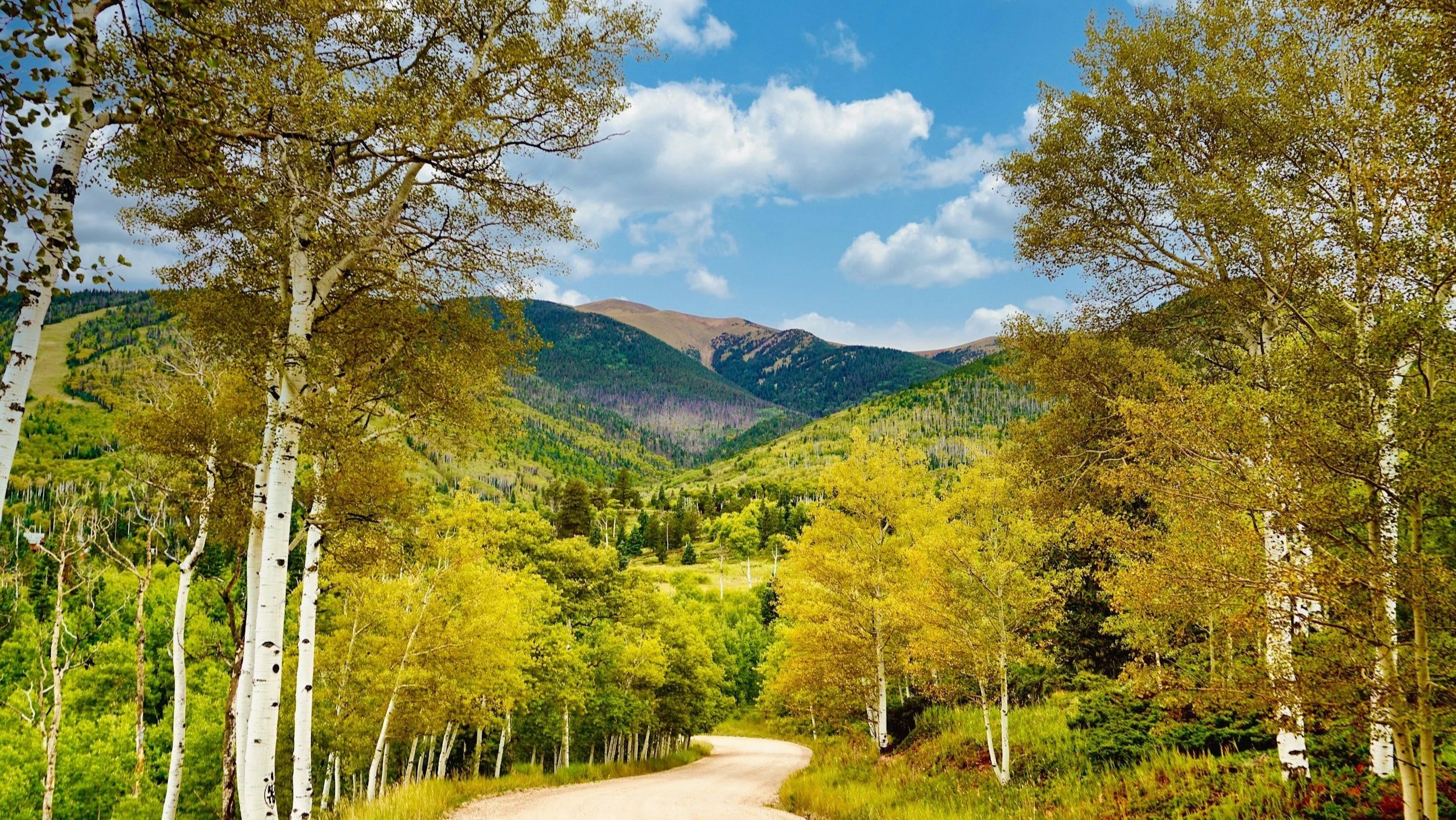 Operational FAQ Perth SME business consultant