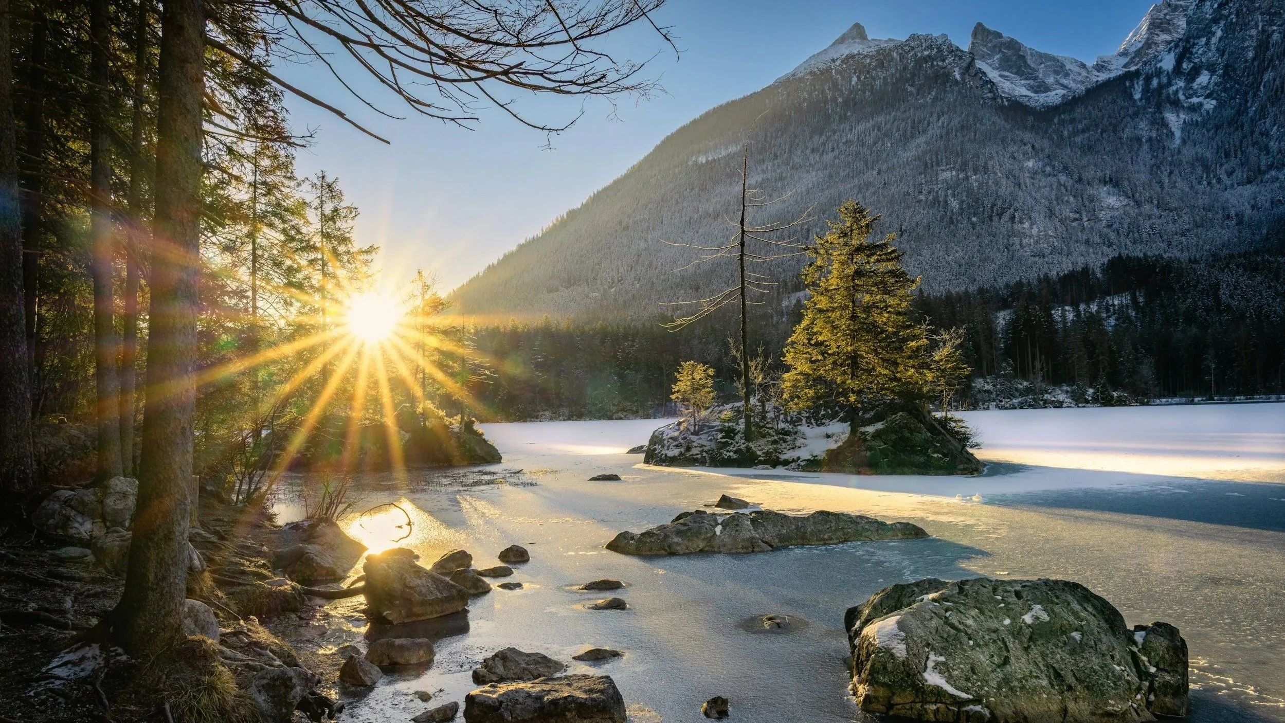 Perth SME business consultant monitoring automation performance