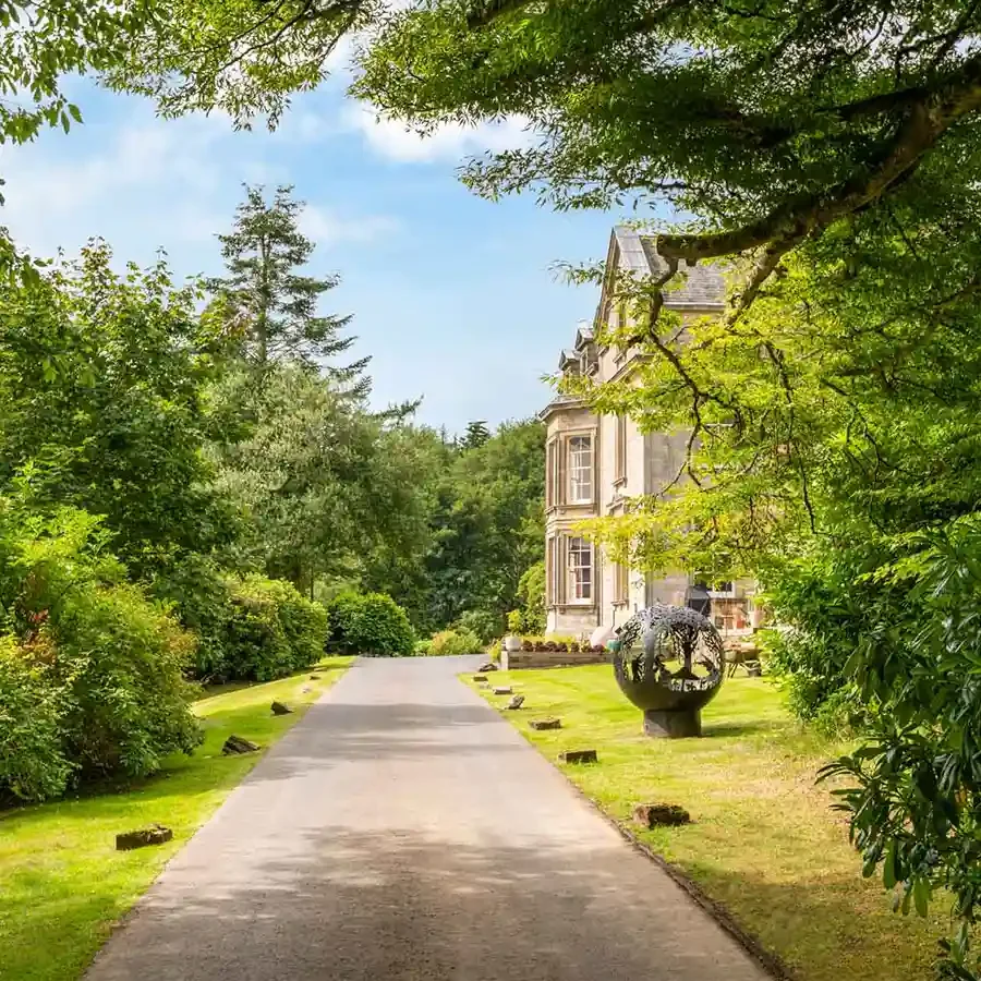 Tree lined driveway leading to Woll Estate Retreats in the Scottish Borders