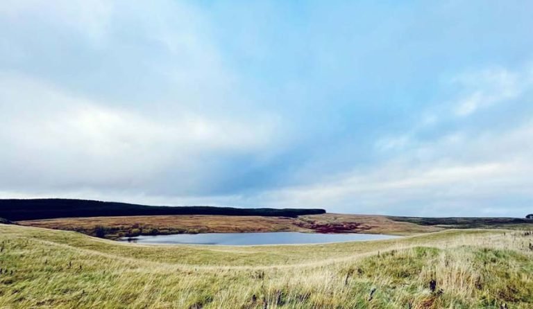 Open field with grassy terrain, a small pond in the middle, and rolling hills in the distance under a partly cloudy sky.