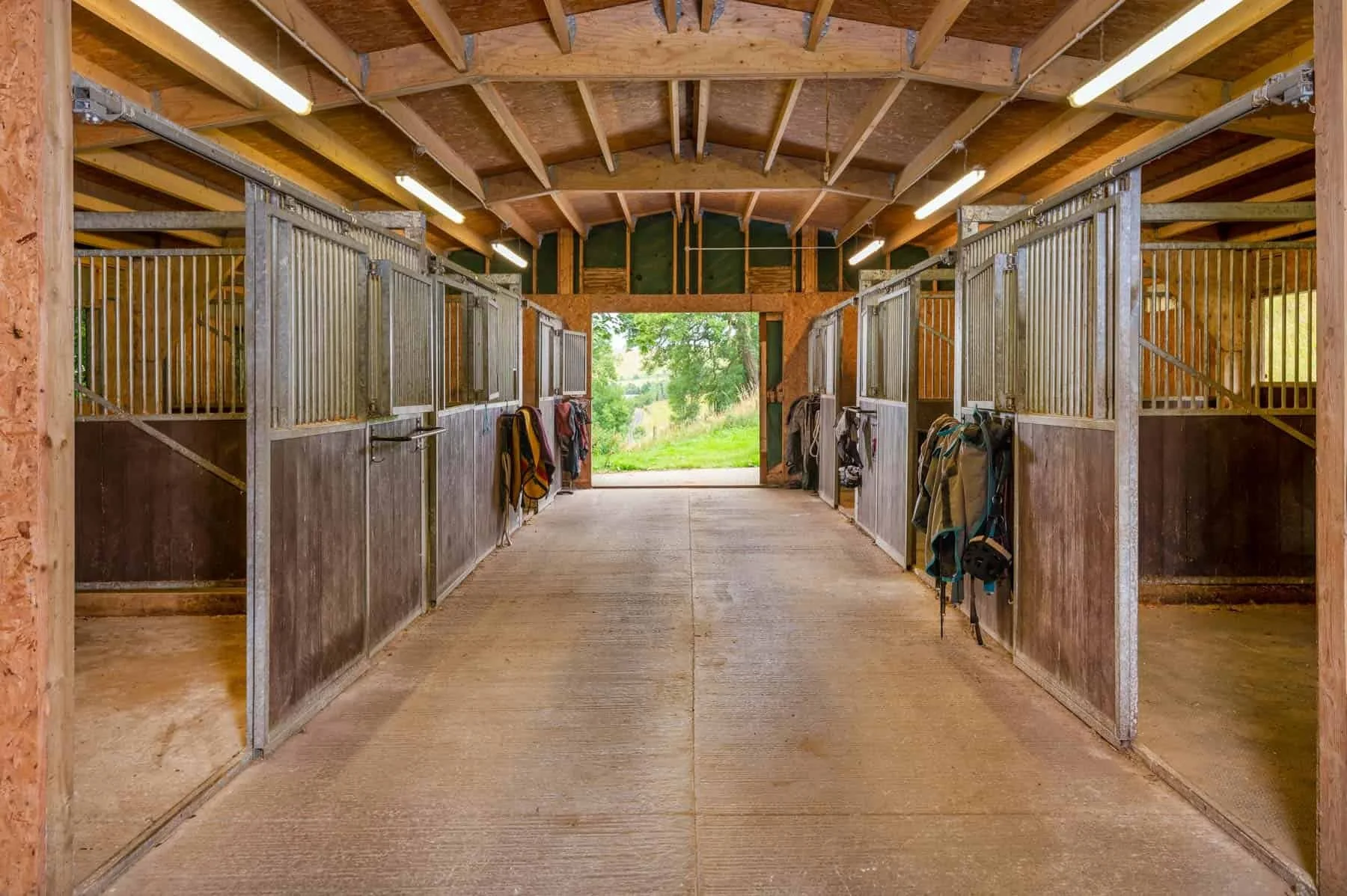 Equine barn interior with stalls, saddles, and tack hooks, looking toward open double doors to outdoor green scenery.