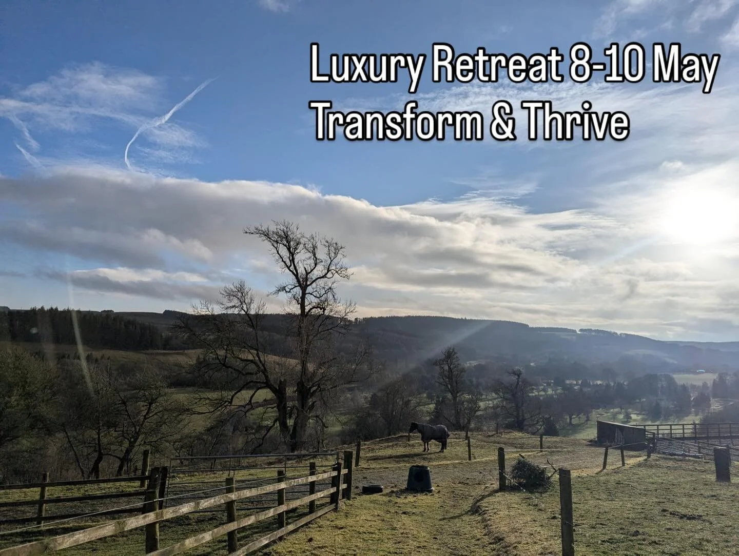 In a world that constantly asks you to be more, what if you could find a space that simply allows you to be? At Woll Estate Retreats, we believe that true wellness begins with this simple, yet profound, shift in perspective.

We offer you a space whe