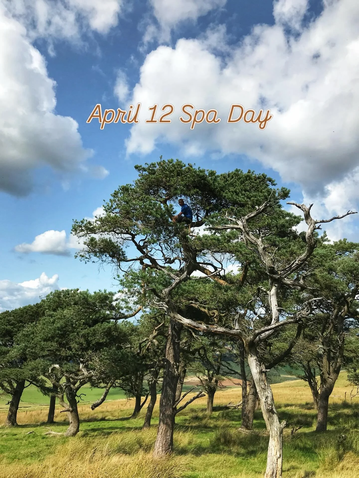 Sunday 12 April Spa Day
8:30am - 3:45pm
Ashkirk TD7 4NY
Did you know??? The order you eat your food can reduce your glucose spikes by up to 37%???

Curious about the impact sugar has on your body. And your mood! This is NOT about dieting.

It&rsquo;s