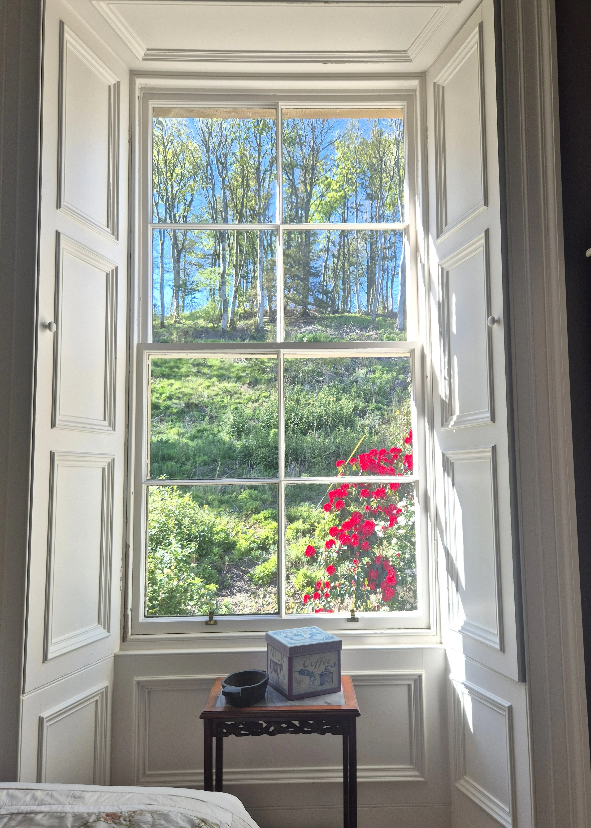 aditi window.jpeg