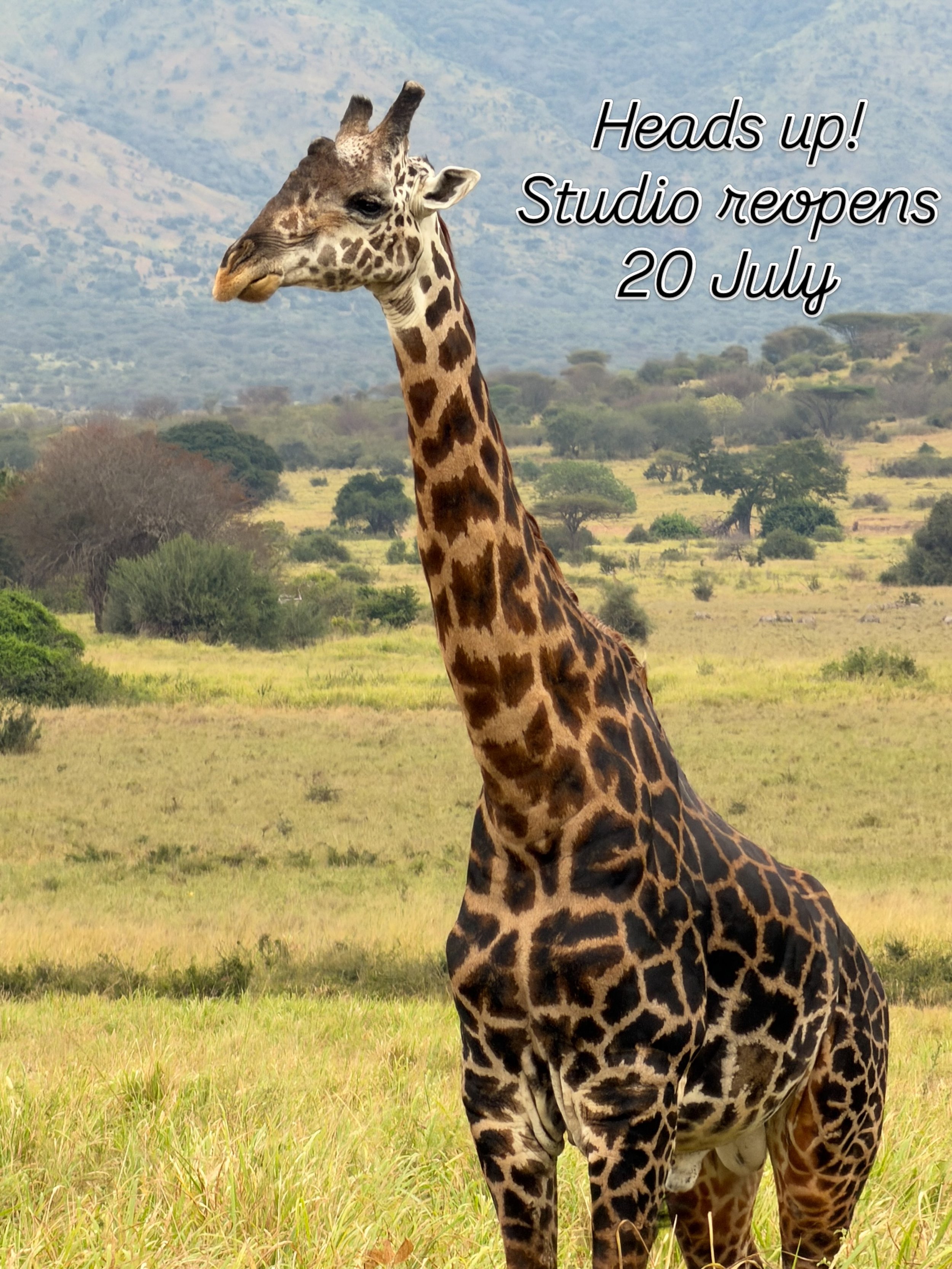 Looking forward to seeing you all back in the studio. Normal schedule Monday 20 July.