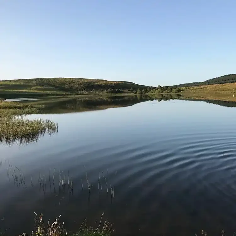 woll-estate-retreats-loch-wild-swimming.webp