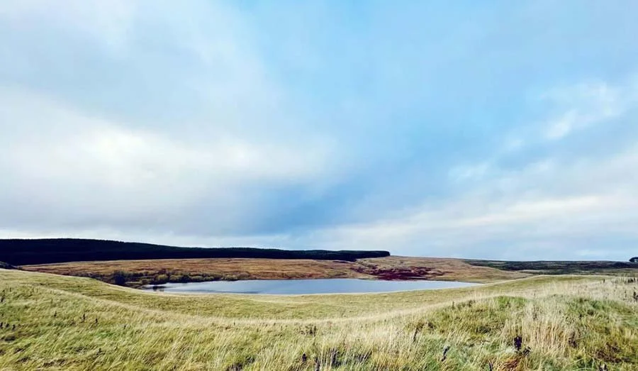 Scenic view of rolling green hills, a small lake or pond, and a cloudy sky in the distance.