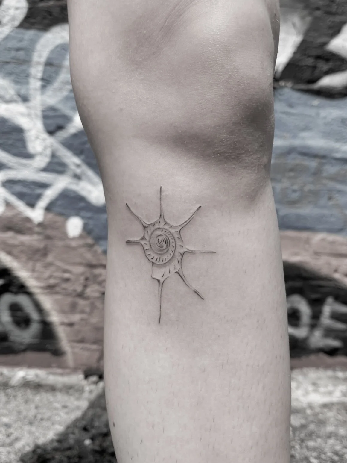 Little shell by @lunatatudora DM Luna for booking!