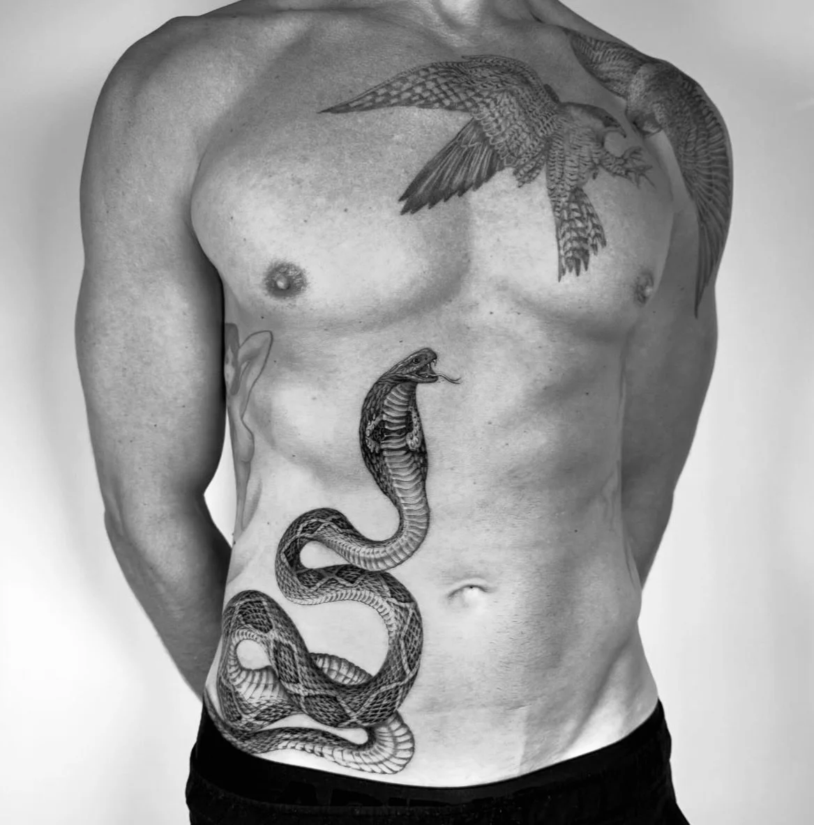 Fresh cobra &amp; healed falcons by @lepapillon.tattoo check Daniel&rsquo;s page for his booking 🔗 🦅