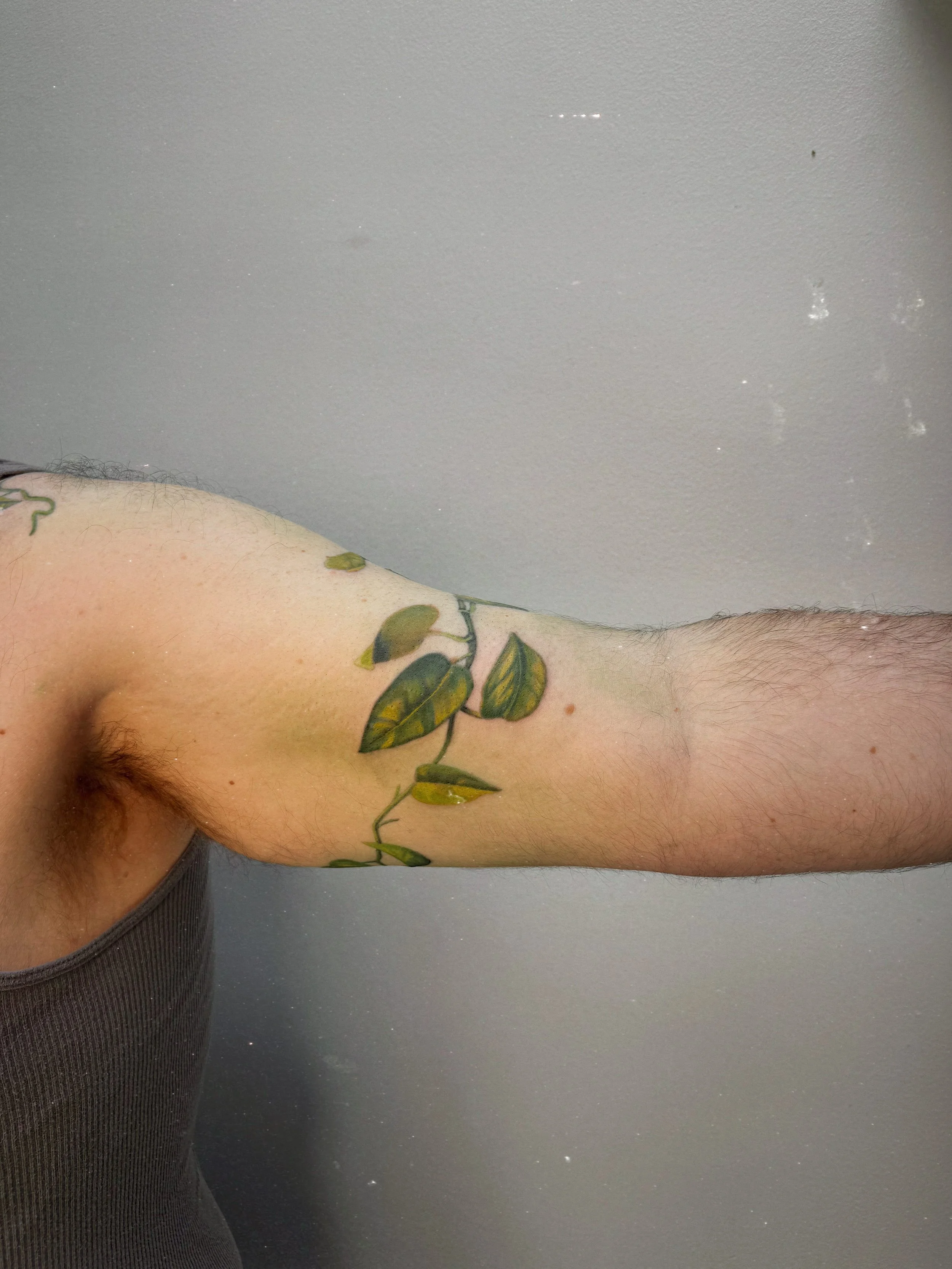 Color botanical tattoo by Ámya Mila featuring a winding green vine with leaves wrapping along the inner upper arm.