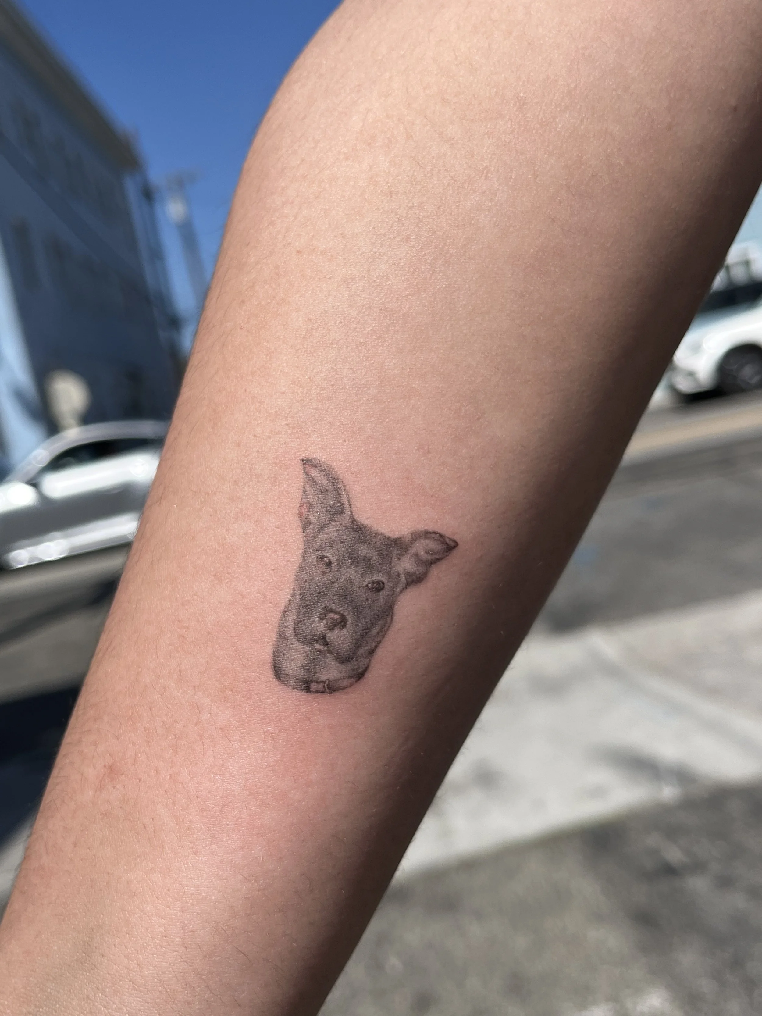 Micro-realism dog portrait tattoo on the forearm, by Luna Hawke.