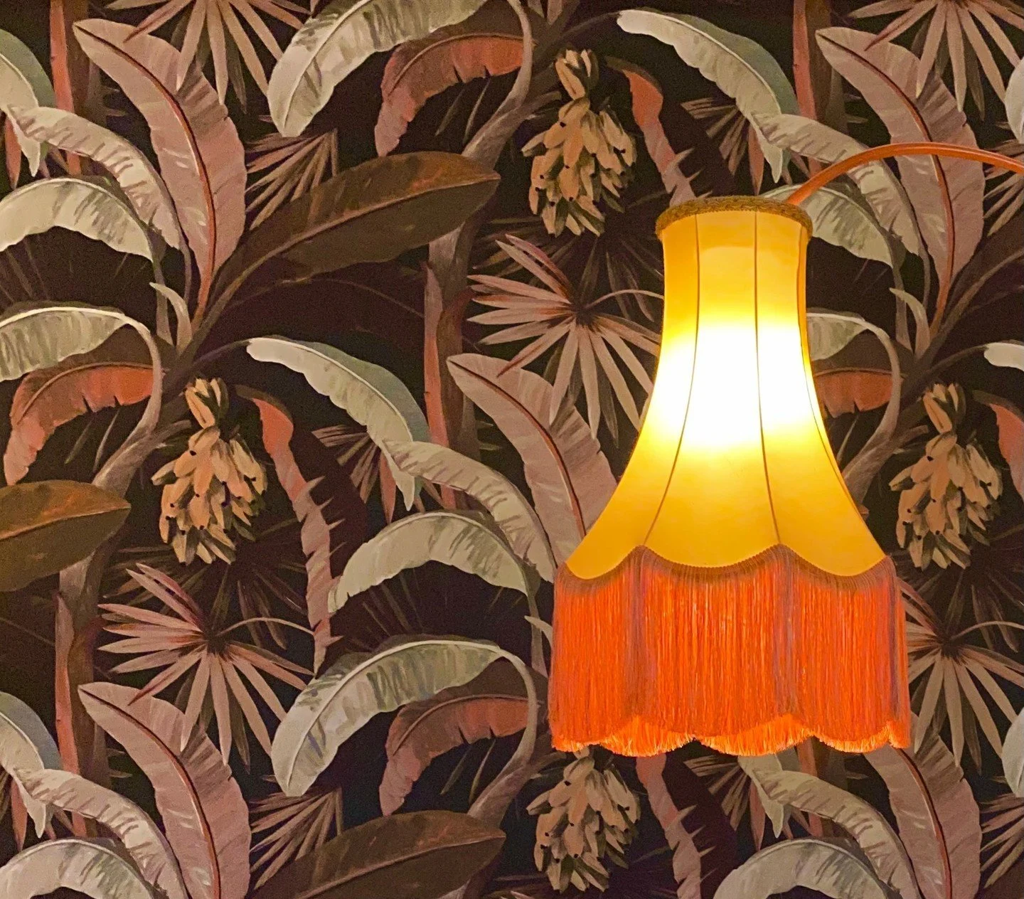 TIPS FOR LIGHT ⁠
⁠
💡⁠
⁠
One study found that the more intense the light, the more intense emotions are perceived to be. ⁠
⁠
For example, people actually feel warmer in intense lighting, even if the temperature hasn't been raised. ⁠
⁠
This makes it i