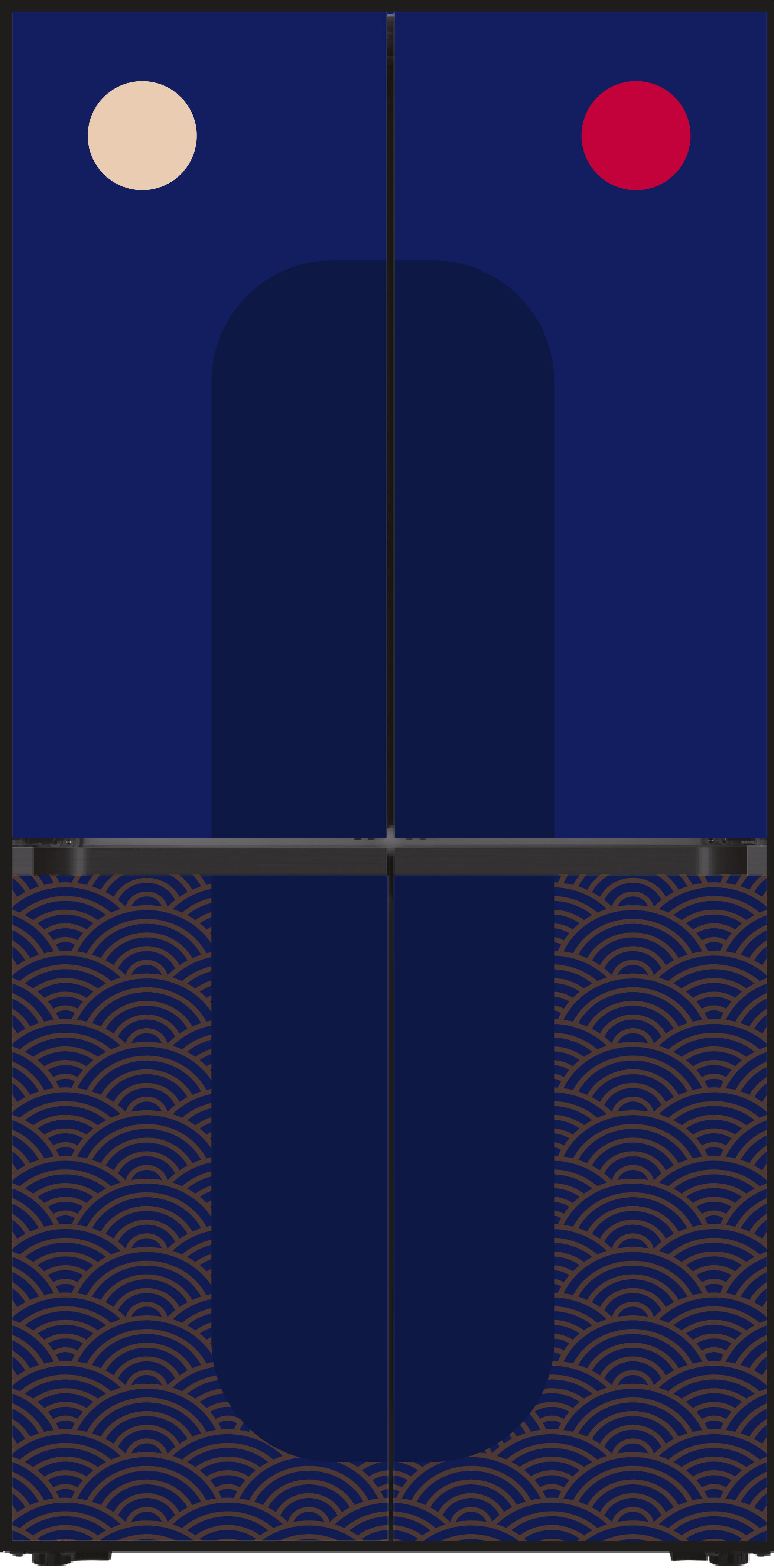 Single Type 2D image