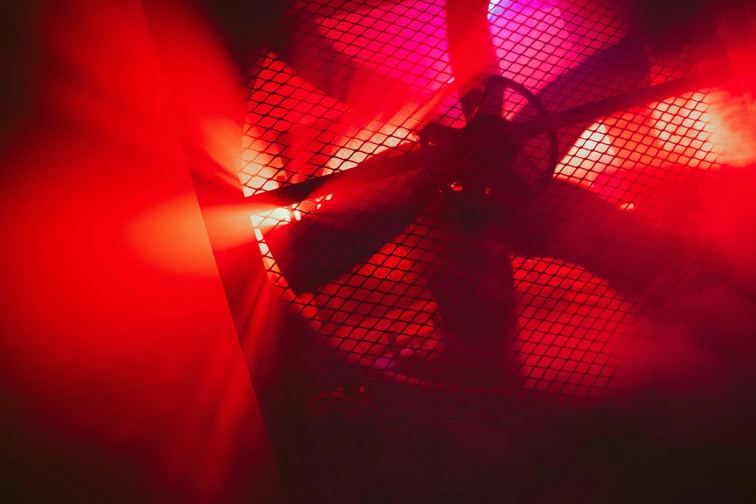 PHOTO-2026-01-13-12-03-09 2.jpg