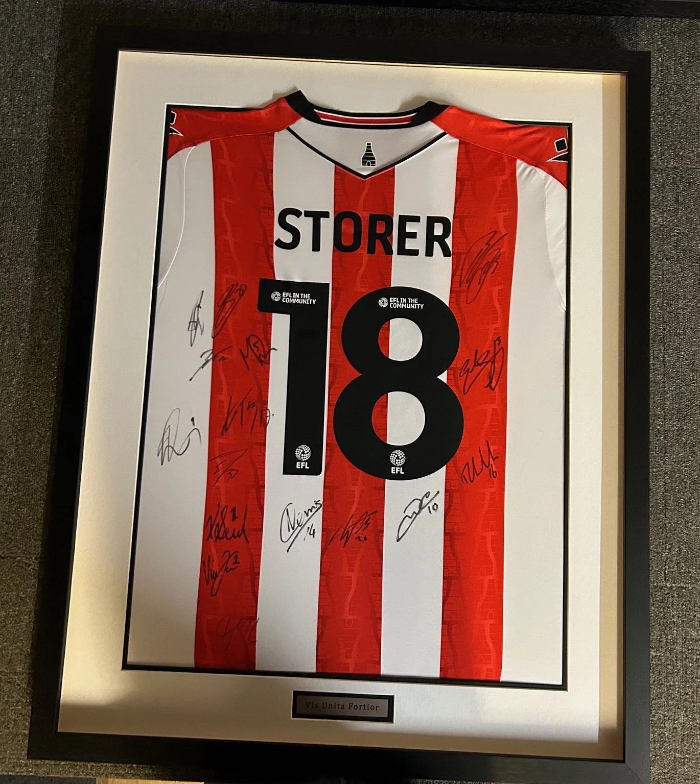 t shirt and plaque framing