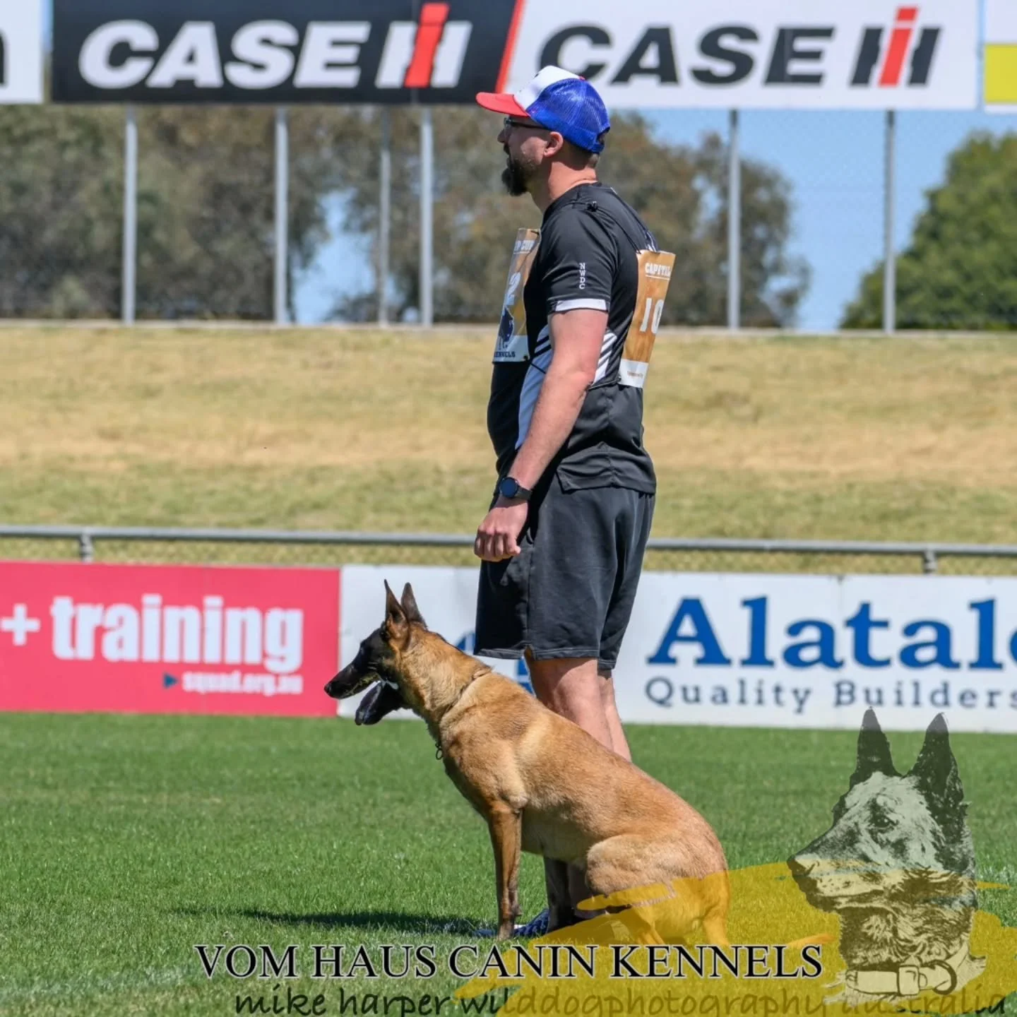 Competing at the CIC - Capital IGP Cup. 

https://www.working-dog.com/dogs-details/7434888/Schutzshep-Taco