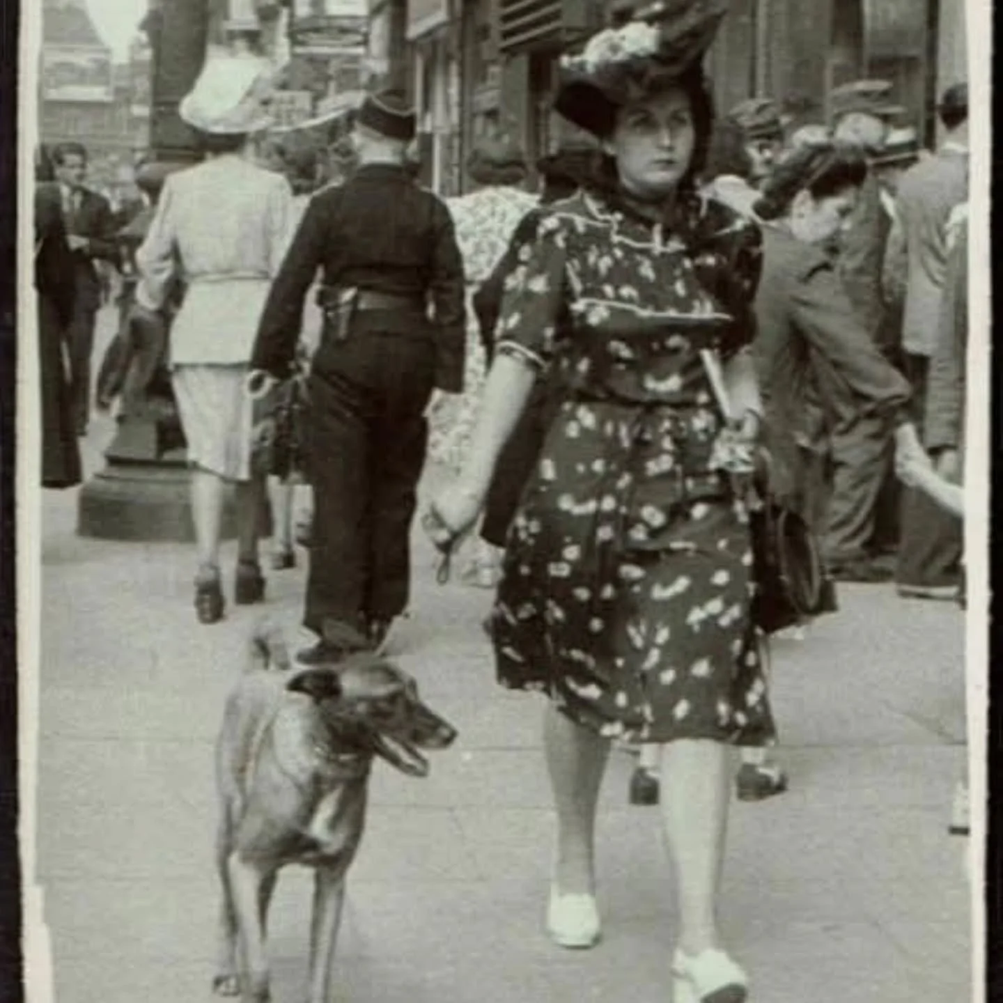 Malinois History:

A woman walking a Malinois in Paris (c. 1930)