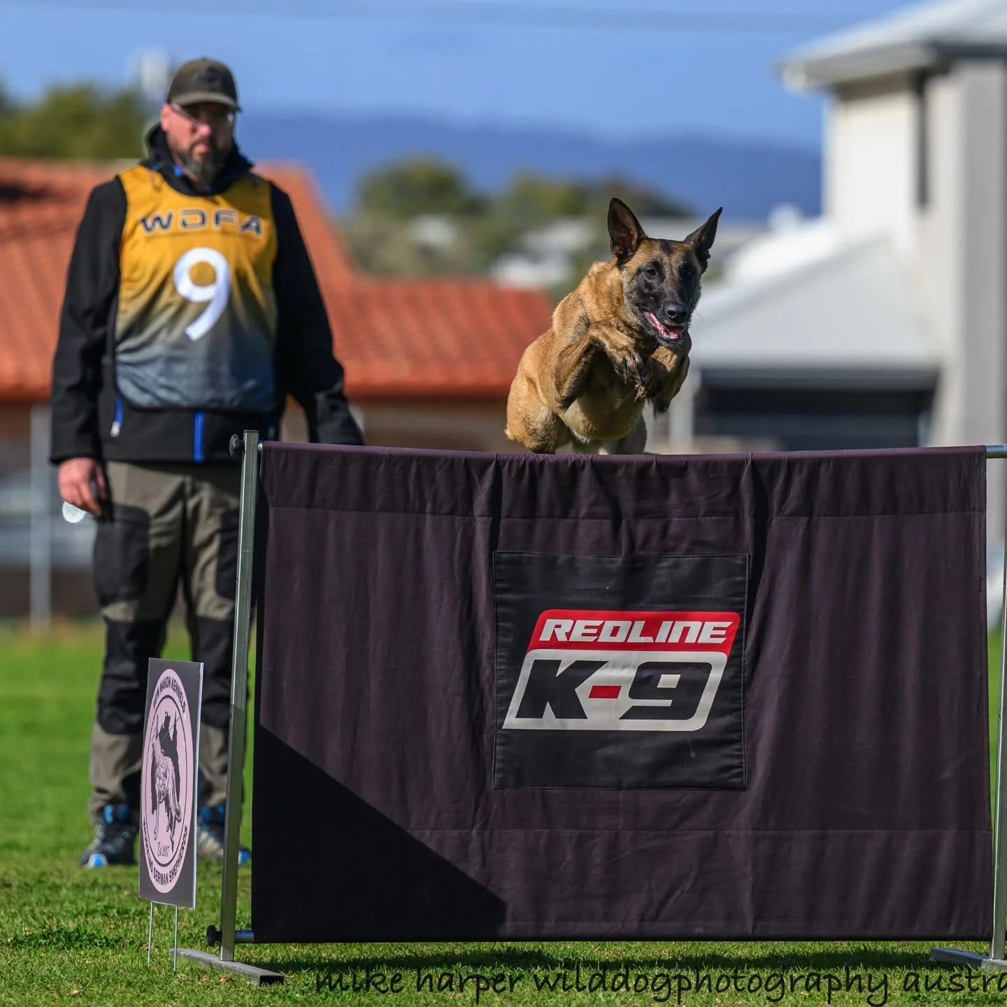 Schutzshep Taco (Lulu) - IGP3 (90 86 80)

We attended the WDFA Nationals in Adelaide, we gained our IGP3 title and came 4th in the IGP3 category. Im very happy with her. 

Thank you to the Adelaide Sportdog Club for hosting such an amazing event, and