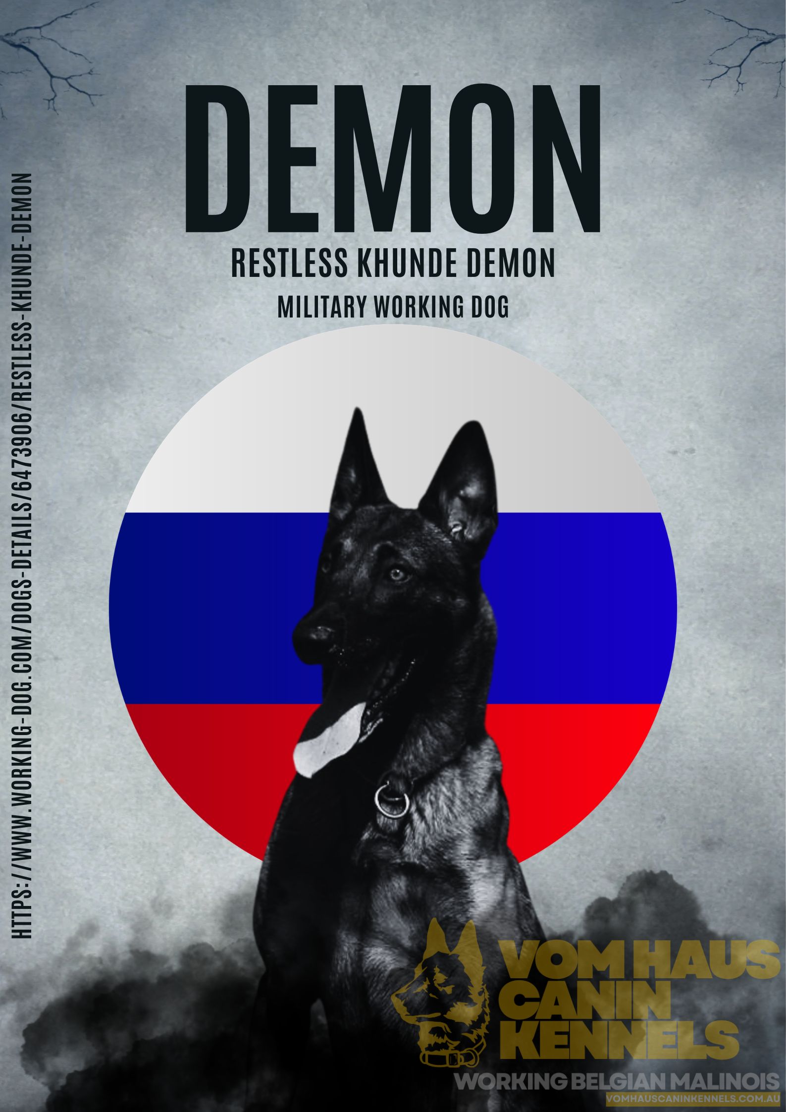 Vom Haus Canin Kennels | Belgian Malinois Breeder
