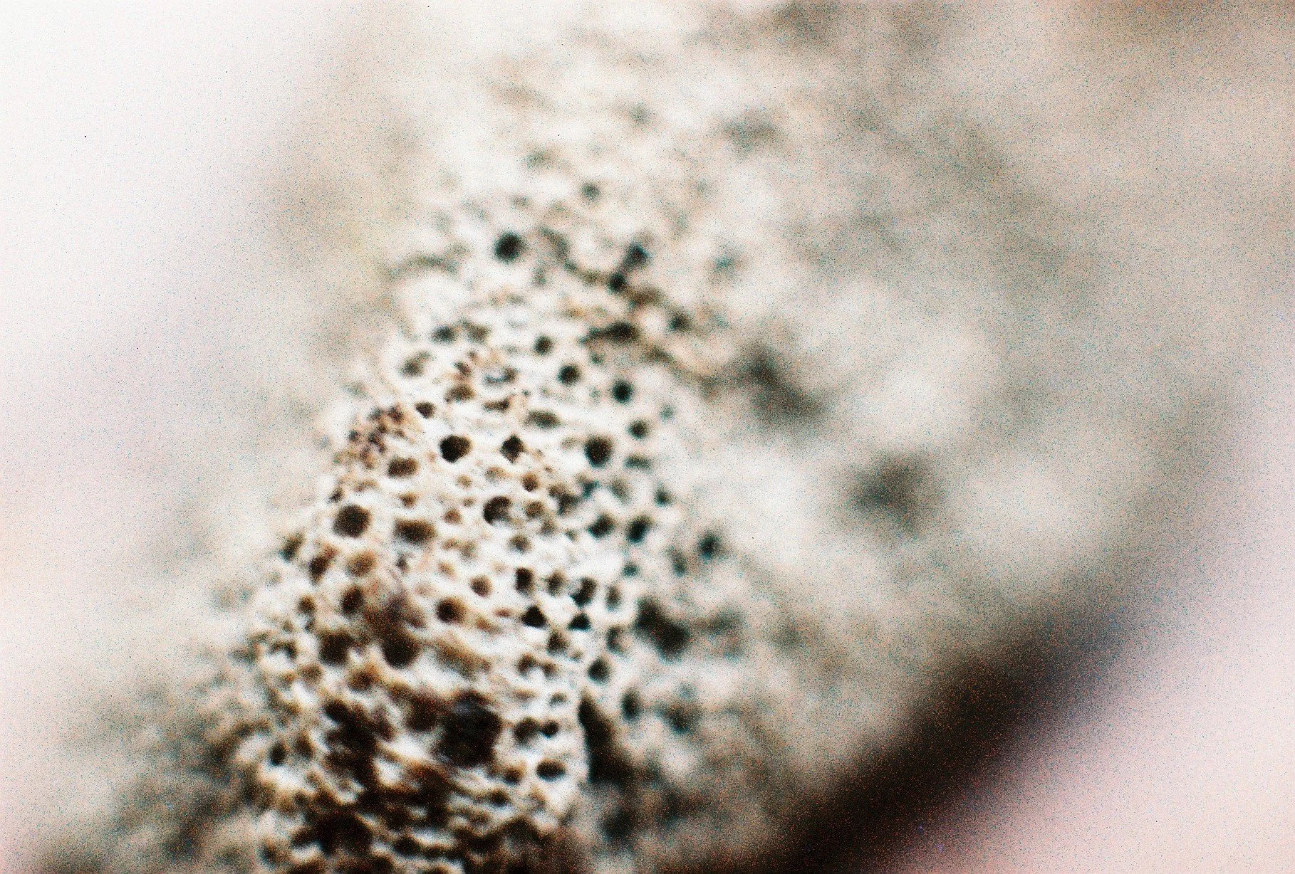7004_35.JPG