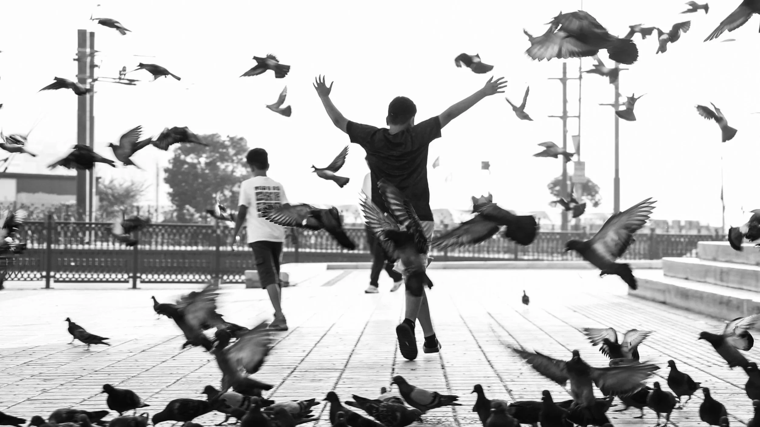 Yusuf runs headlong through the storm of wings, arms outstretched as if, in that fleeting rush, he might rise with them, not just chasing freedom, but becoming it.