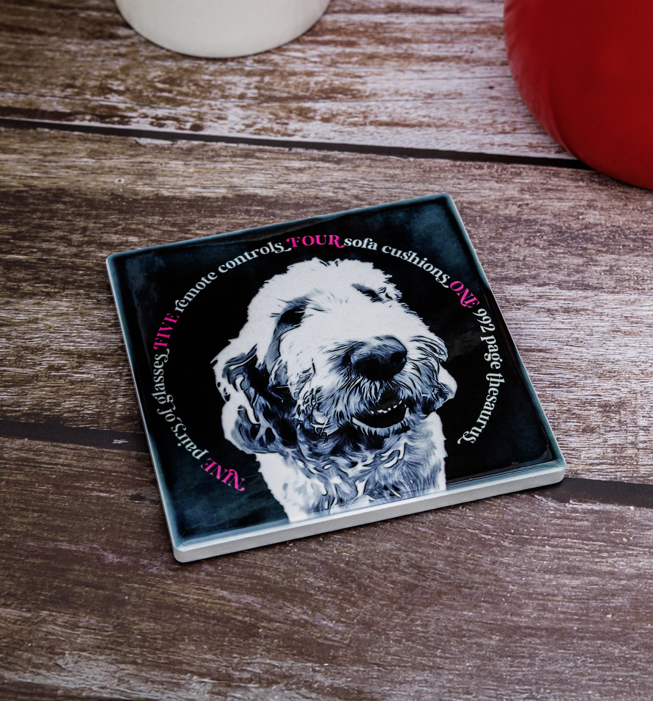 Naughty Pet Coaster Set