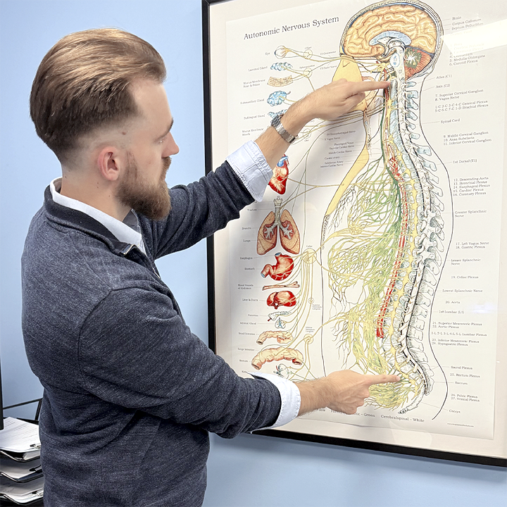 Gonstead Chiropractor explaining nerve chart image to patient.