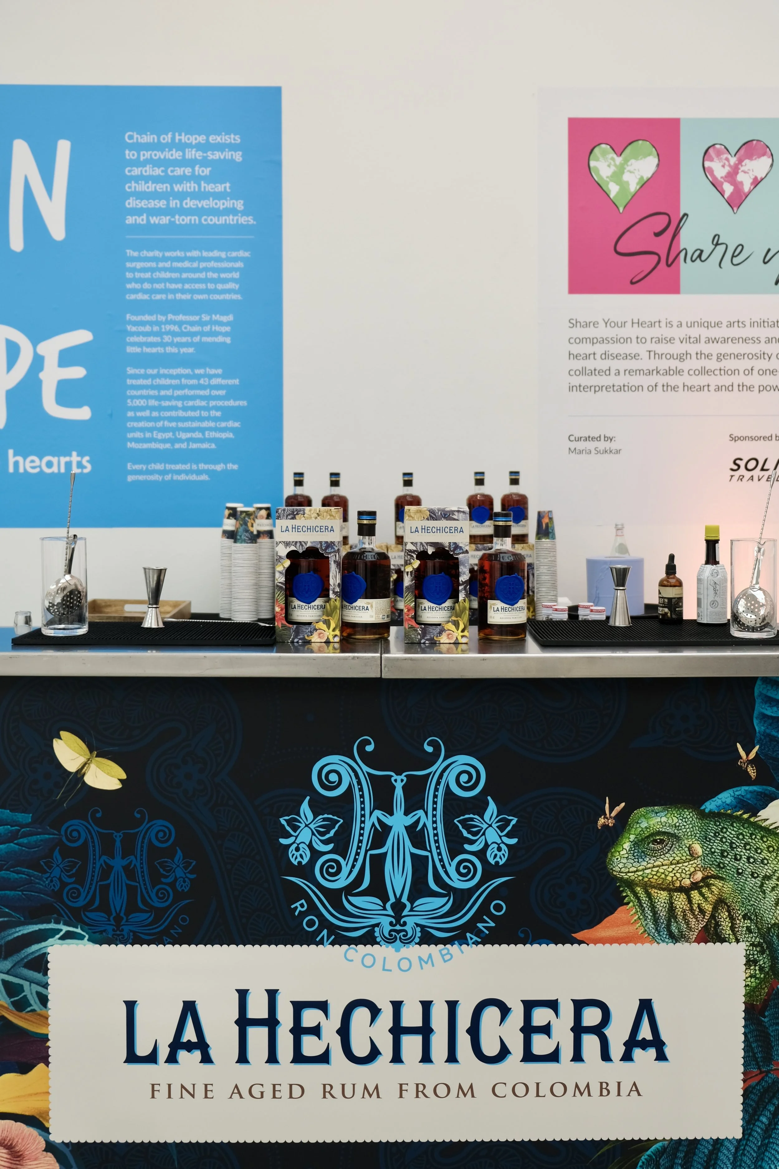 AN La Hechicera Saatchi CB+E 6.jpg