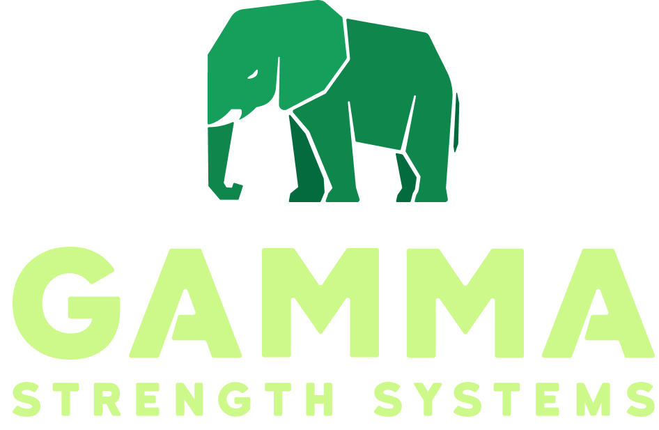 Gamma Strength Systems