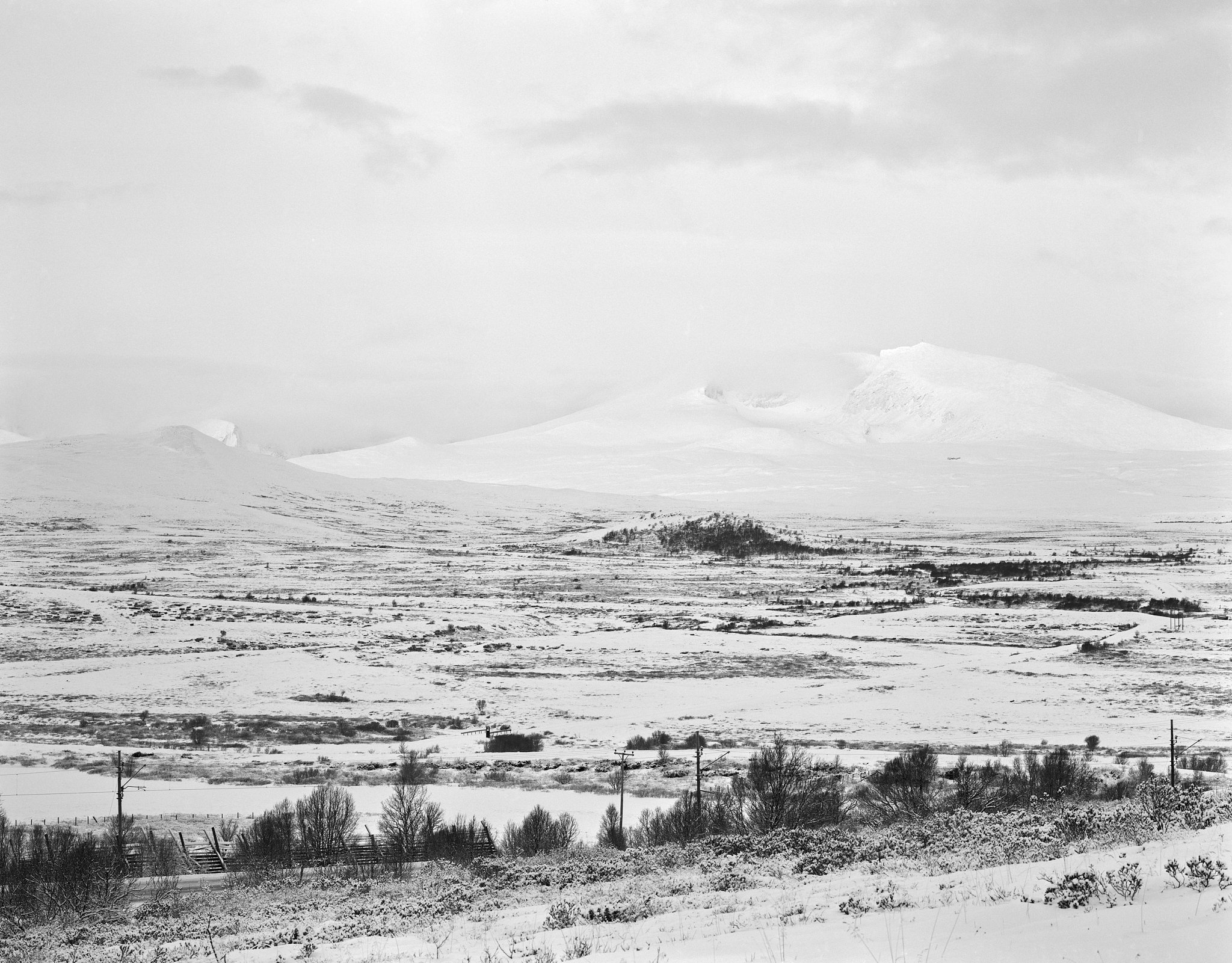 Dovrefjell - Hjerkinn