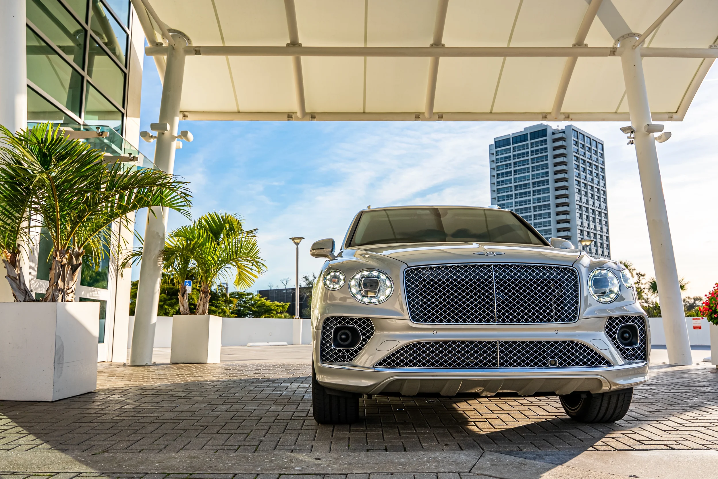 Sarasota Motor Club - venice luxury car rental - A luxury silver car parked outside a modern building with tall windows, surrounded by potted palm trees and a clear blue sky.