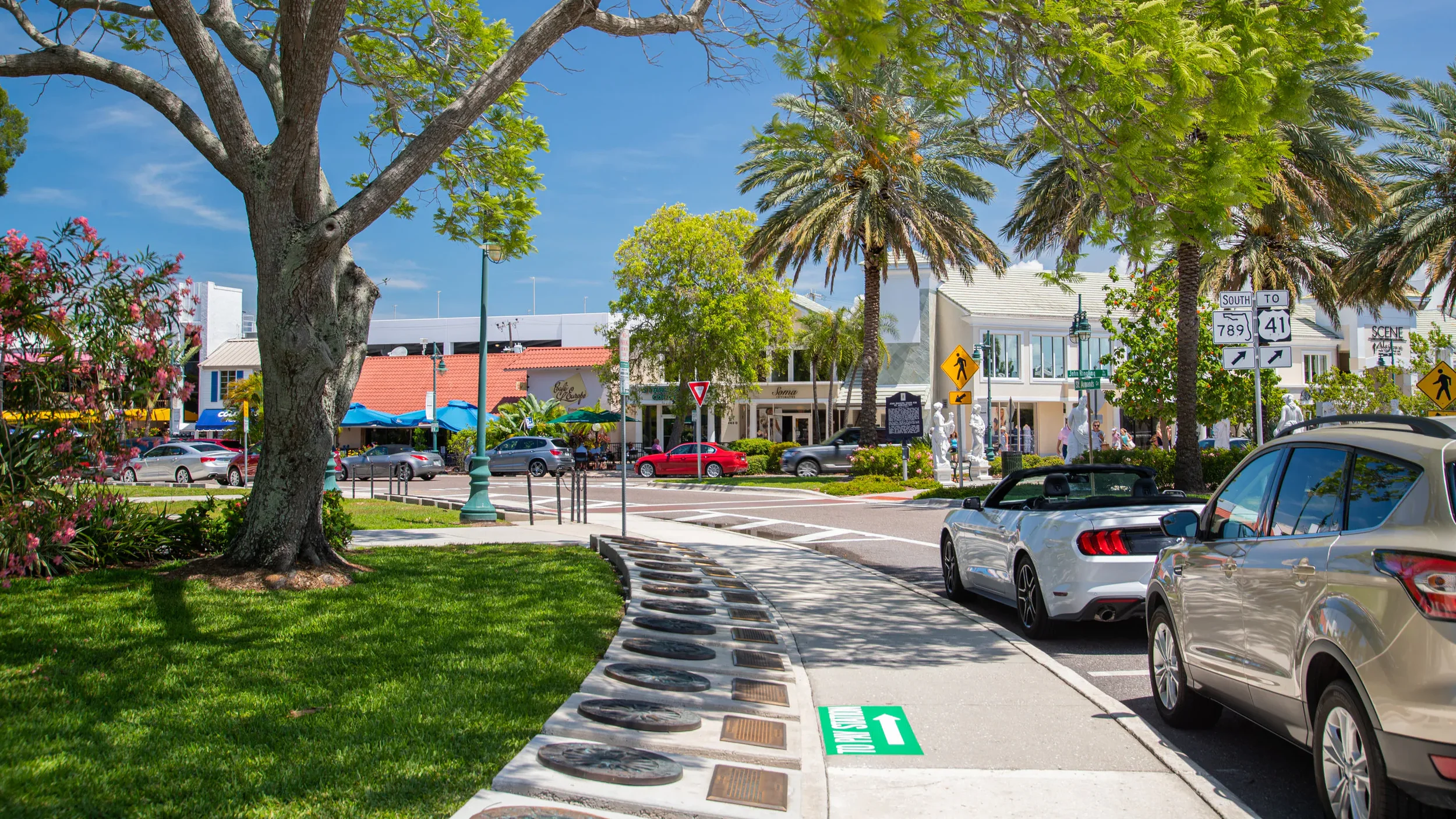 Sarasota Motor Club - Sports Car Rental Sarasota FL - A busy urban street scene with cars parked along the curb, palm trees and other greenery, storefronts, pedestrians, street signs, and a clear blue sky.