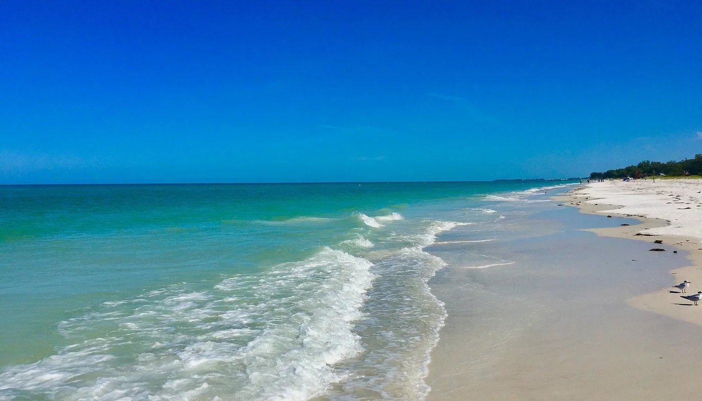 Sarasota Motor Club - Exotic Car Rental Sarasota Florida - A beach with white sand, clear turquoise water, and a blue sky. Seagulls are on the shore, and some people can be seen in the distance.