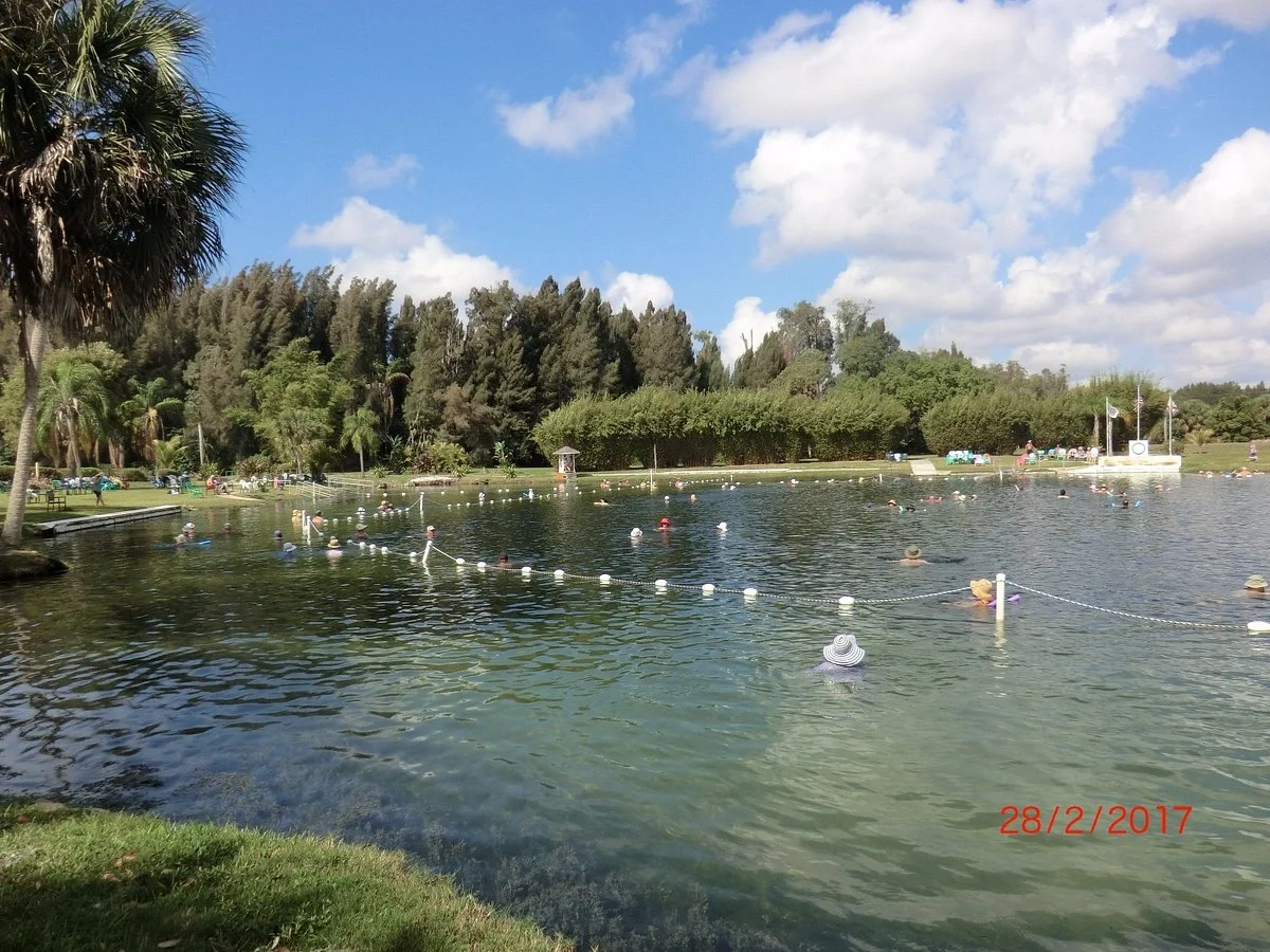 Sarasota Motor Club - Premium Car Service Sarasota - People swimming and relaxing in a lake surrounded by trees and a sunny sky.