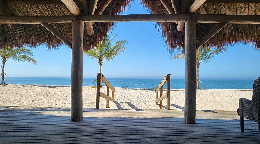 Sarasota Motor Club - Exotic Car Consignment Sarasota - View from a shaded beach hut with a thatched roof, looking out over a sandy beach, palm trees, and the ocean under a clear blue sky.