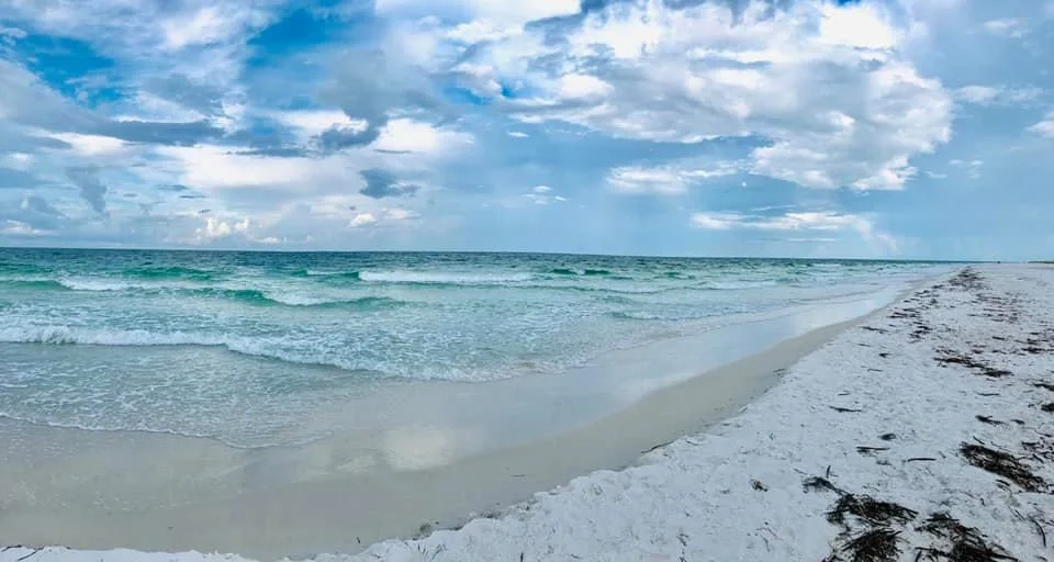 Sarasota Motor Club - Exotic Car Rental Sarasota Florida - A sandy beach with white sand, seaweed along the shore, and waves gently hitting the coast under cloudy skies.