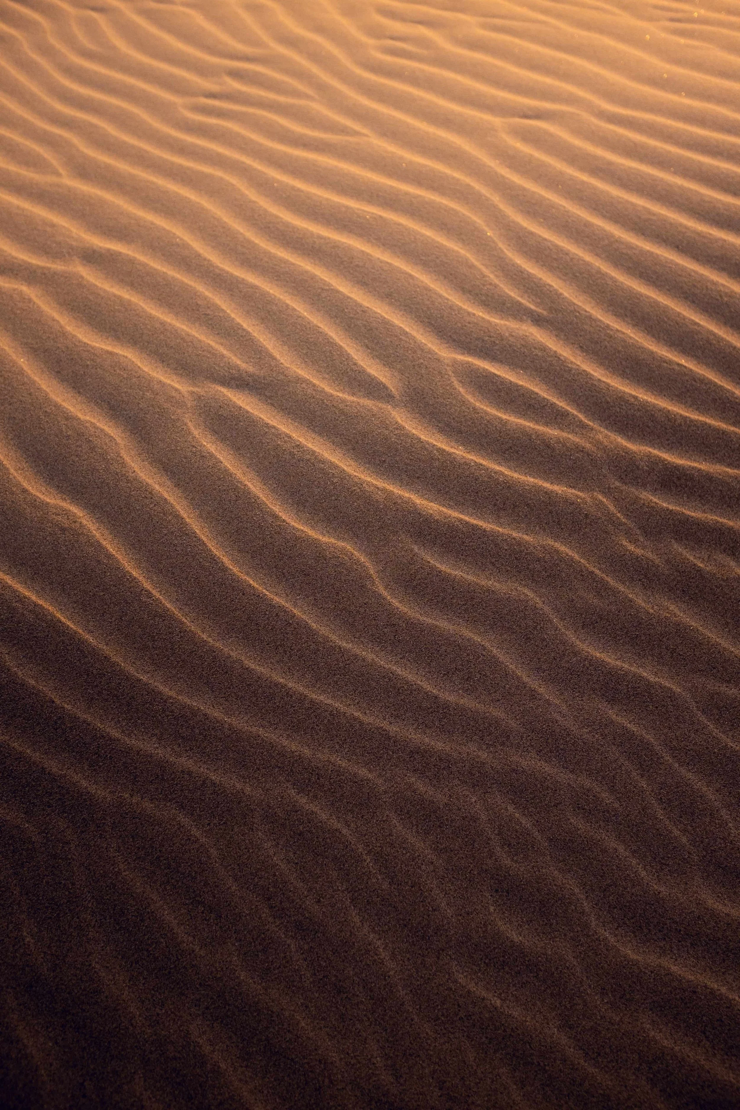 Close-up view of sand dunes with wind-created ripples on a desert surface.