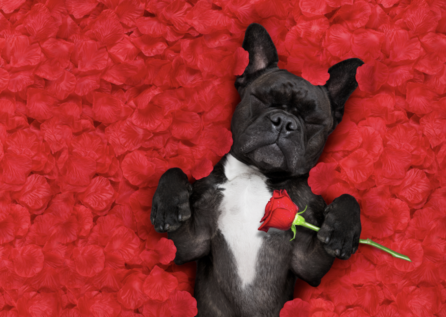 Valentine’s Day for Neurodivergent Singles: Love Yourself First