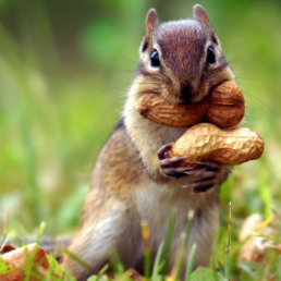 April Is ADHD Awareness Month… Which I Realized Mid-Distraction – No, It’s Not