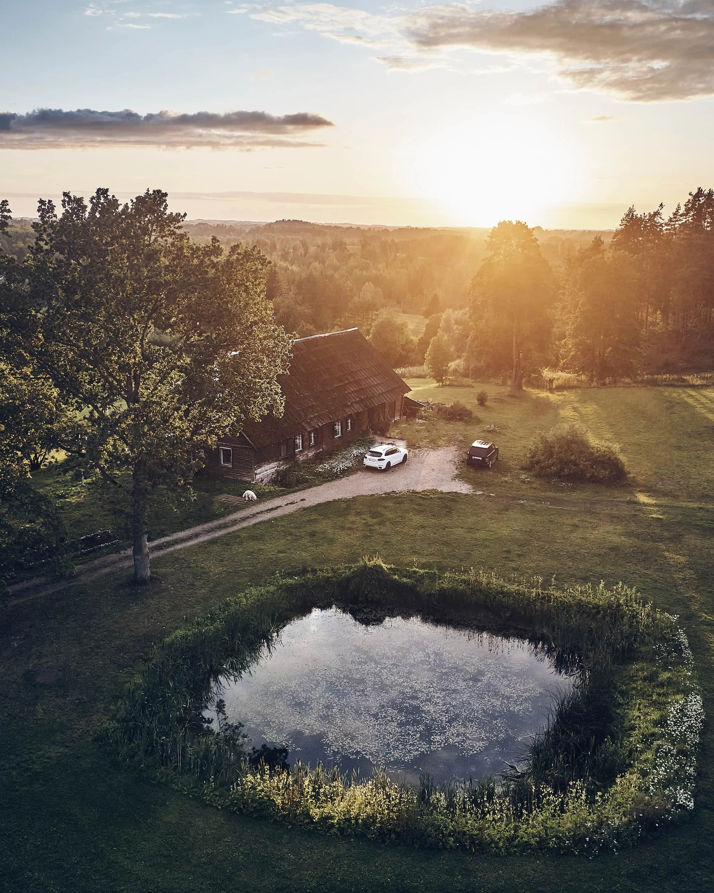 Õhuvaade kuldses õhtuvalguses suvisele taluhoovile rehielamu, tiigi ja suurte puudega