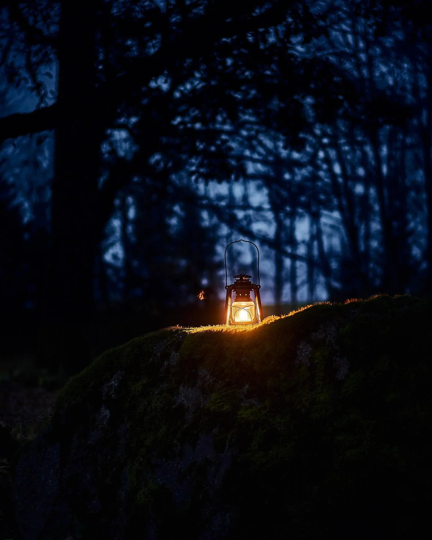 Loor on &otilde;huke. Haldjad tulid t&auml;navu varakult. Midagi on liikvel ja ta tuli koju kaasa. Ta kraabib seina sees ja kobistab p&ouml;&ouml;ningul.

Veebileht on &auml;rkamas. Hakkasime Tsema lugusid kirja panema. Varu teed ja sn&auml;kke! Ja h