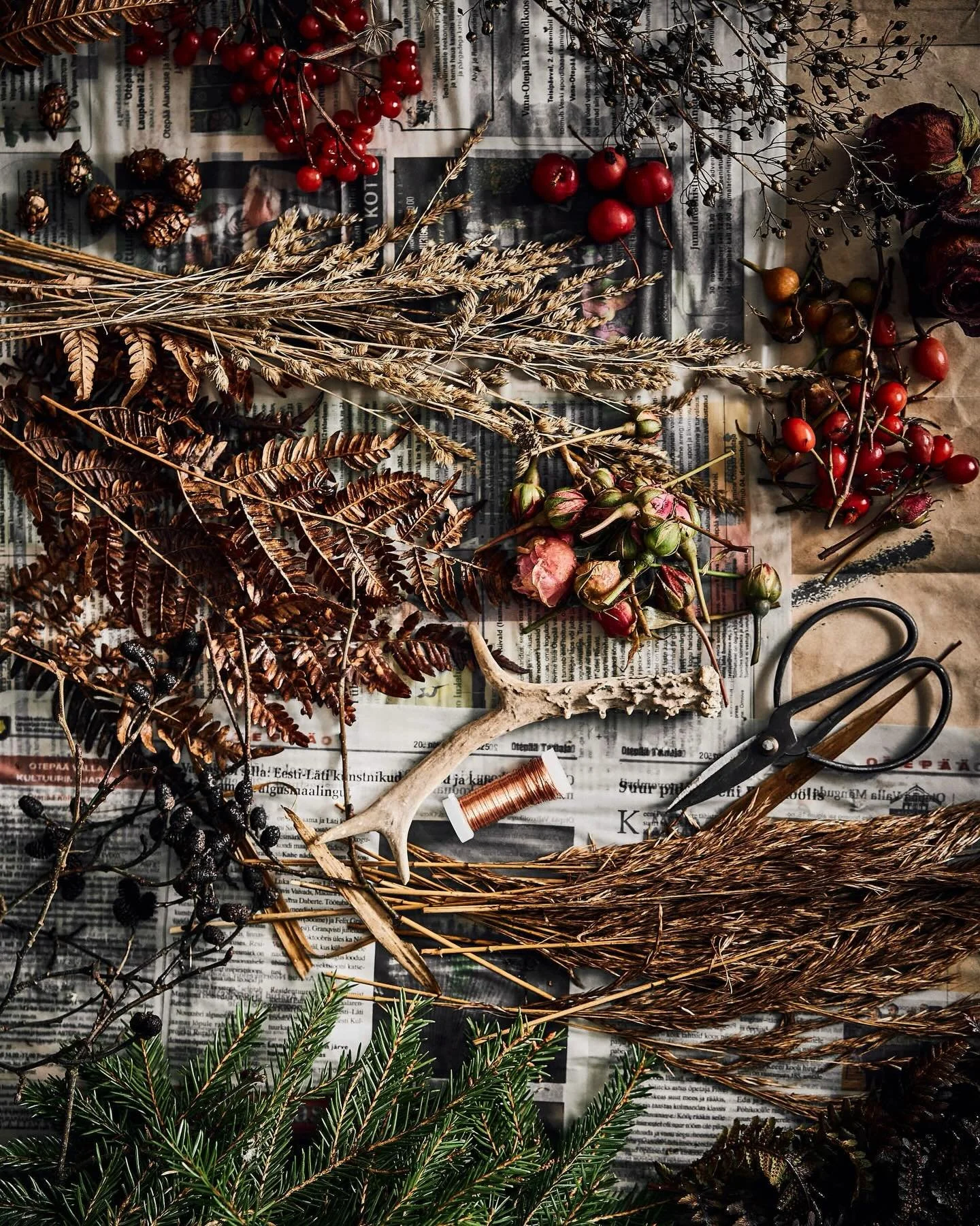 Oleme Tsemal j&otilde;udnud p&auml;rjameisterdamise teise faasi. Tegemist on plahvatusliku loometsooniga. Selge plaan puudub. On ainult hea v&otilde;be, taimne mass ja hooajalised pettekujutelmad.

Enesekindlus: 3/10
Lootus: p&otilde;hjendamatult suu