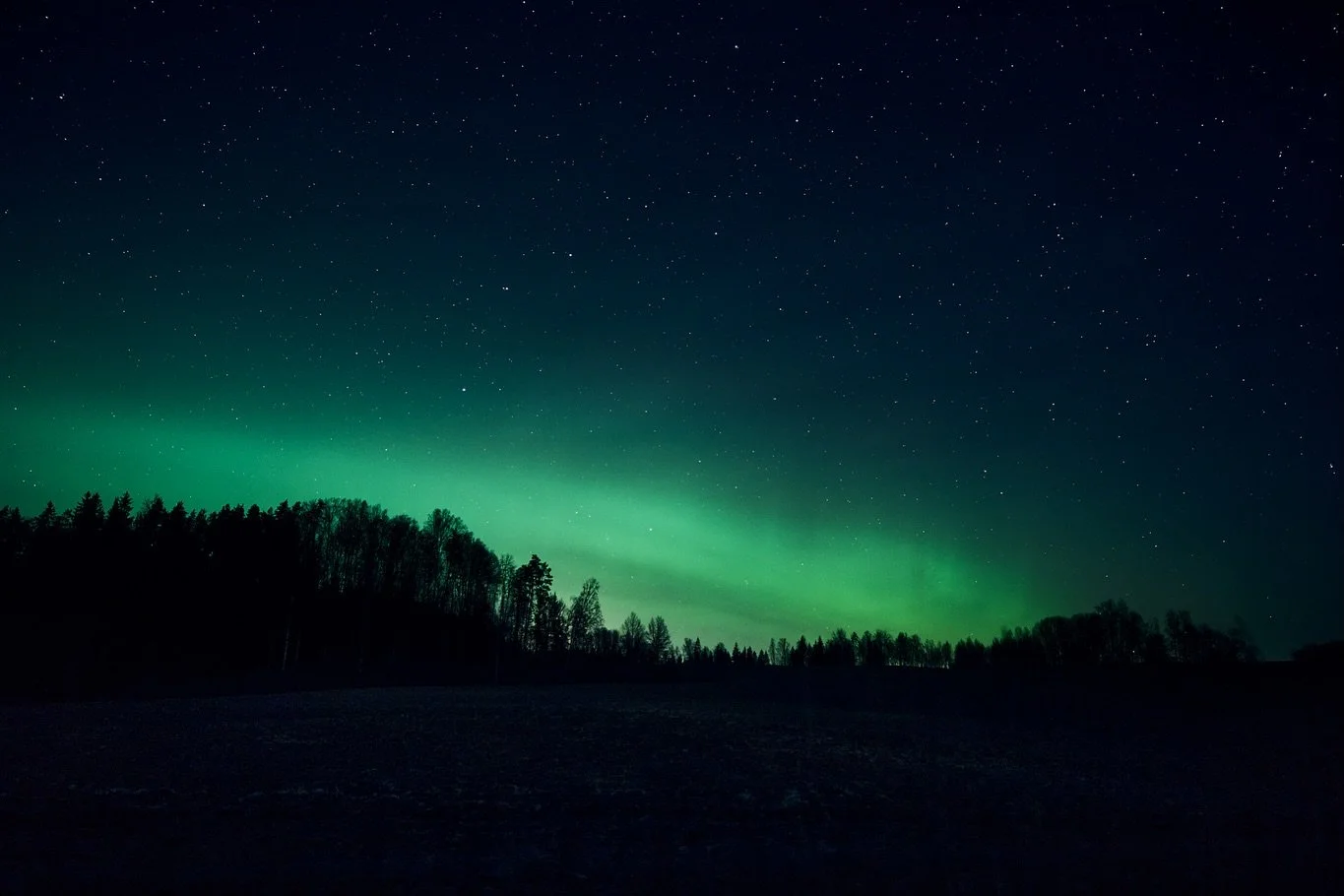 Tsema Talu Field Report

Four distinct field moods detected.
All of them unhinged.

Observed states:

🌌 Cosmic delusion (stars are gaslighting)
❄️ Blank white dissociation
🌫 Seasonal amnesia
🌱 Early-stage optimism, crunchy underfoot

Conclusion:
T