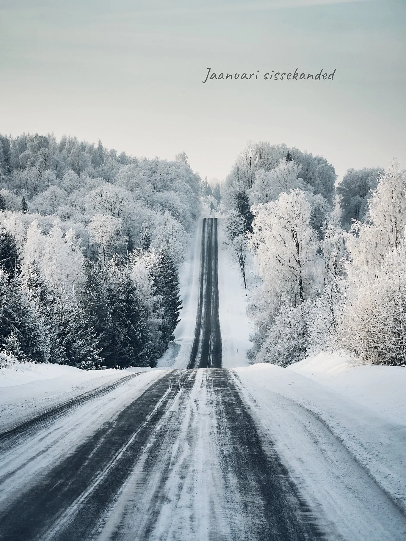 Jaanuar tuli Tsemale ja j&auml;i.

Tee linna muutus Tarkovsky filmi stseeniks. Pildistasin erinevatest nurkadest, et veenduda selle eksistentsis. 

Kait t&otilde;i muudkui k&uuml;ttepuid tuppa ja mina j&auml;litasin teda kaameraga seletades, et praeg